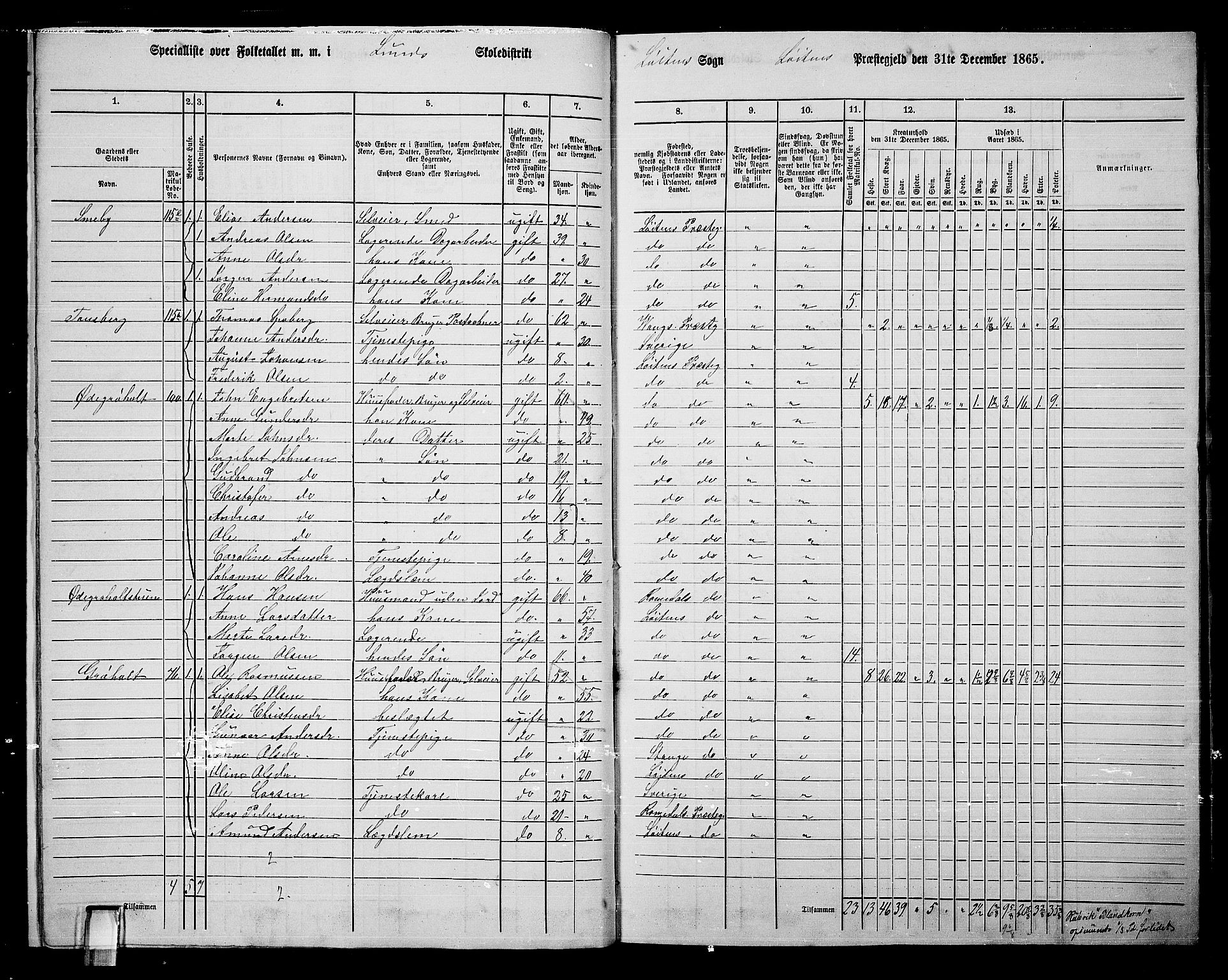 RA, 1865 census for Løten, 1865, p. 17