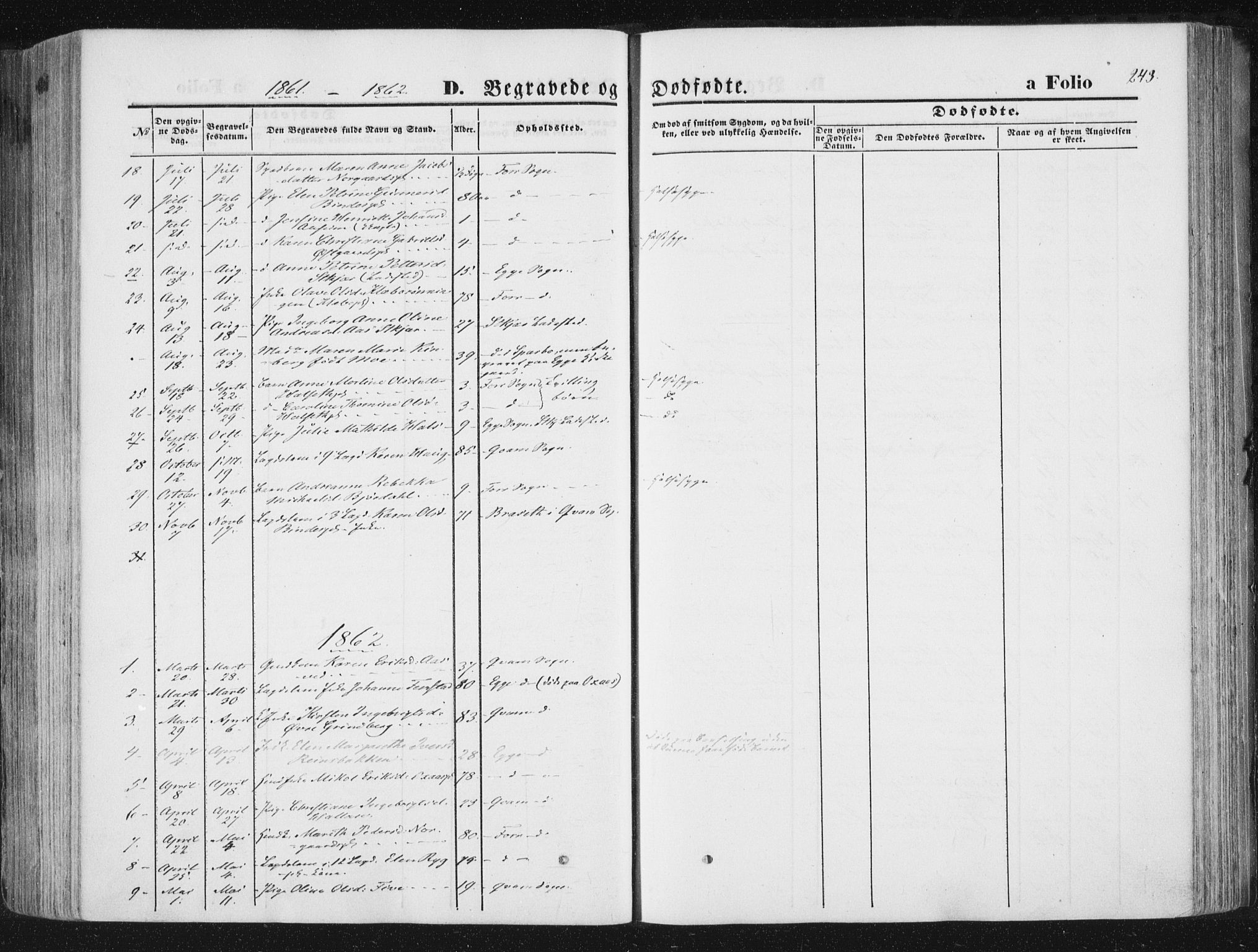 Ministerialprotokoller, klokkerbøker og fødselsregistre - Nord-Trøndelag, SAT/A-1458/746/L0447: Parish register (official) no. 746A06, 1860-1877, p. 243