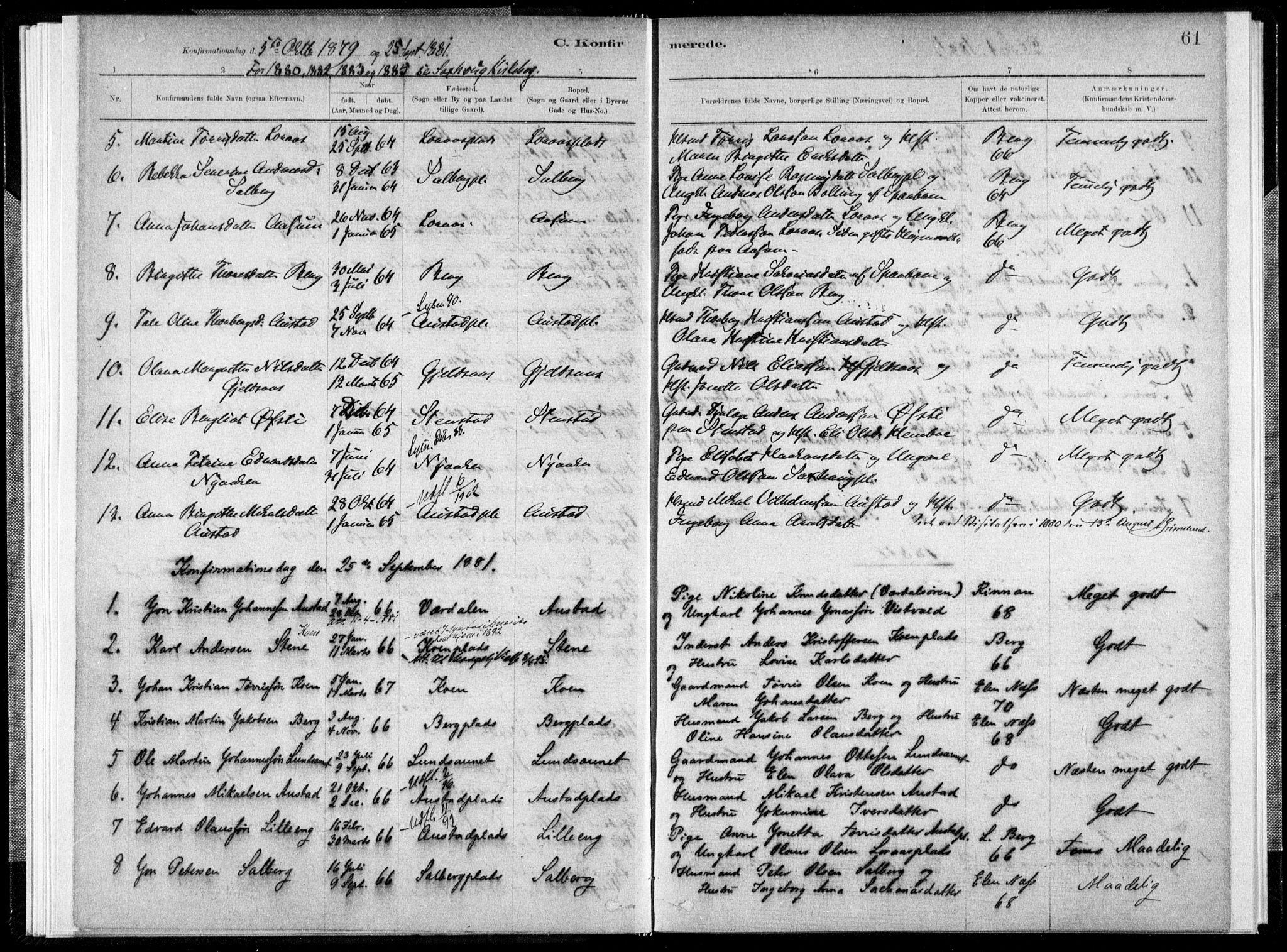 Ministerialprotokoller, klokkerbøker og fødselsregistre - Nord-Trøndelag, SAT/A-1458/731/L0309: Parish register (official) no. 731A01, 1879-1918, p. 61