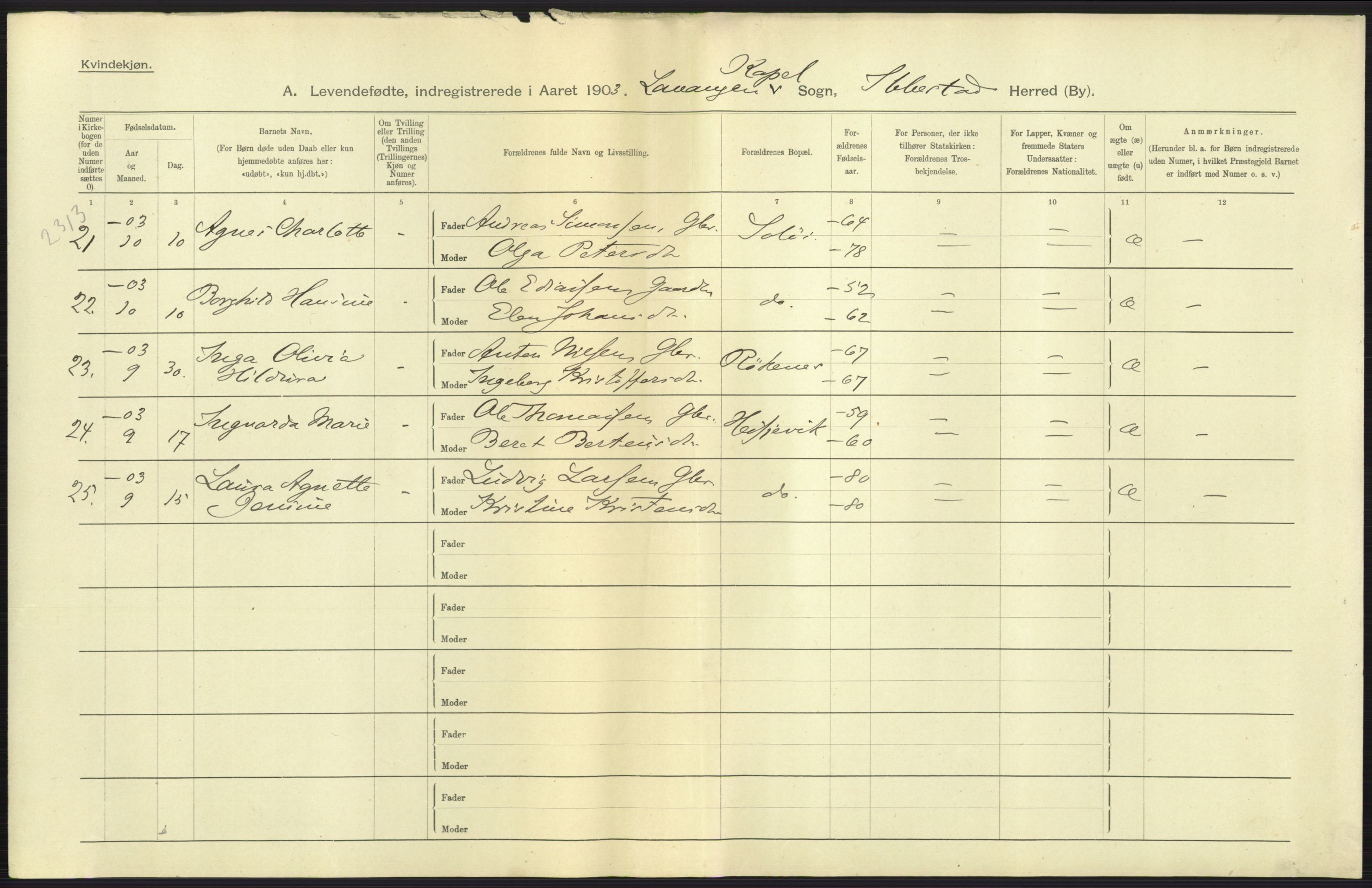 Statistisk sentralbyrå, Sosiodemografiske emner, Befolkning, AV/RA-S-2228/D/Df/Dfa/Dfaa/L0021: Tromsø amt: Fødte, gifte, døde., 1903, p. 13