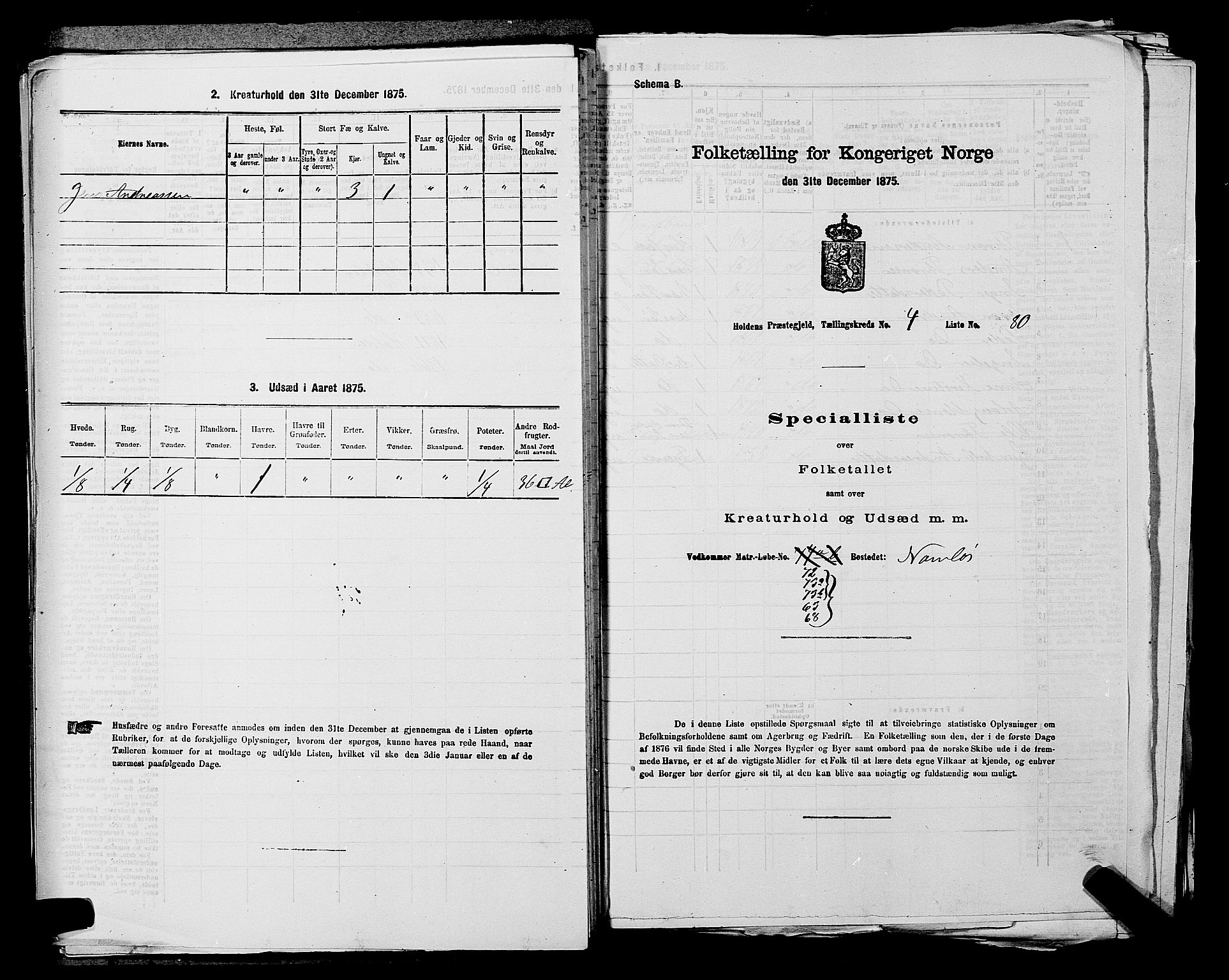 SAKO, 1875 census for 0819P Holla, 1875, p. 598