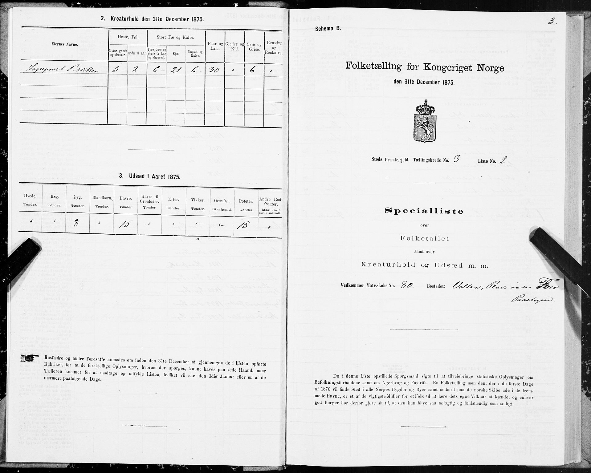 SAT, 1875 census for 1734P Stod, 1875, p. 3003