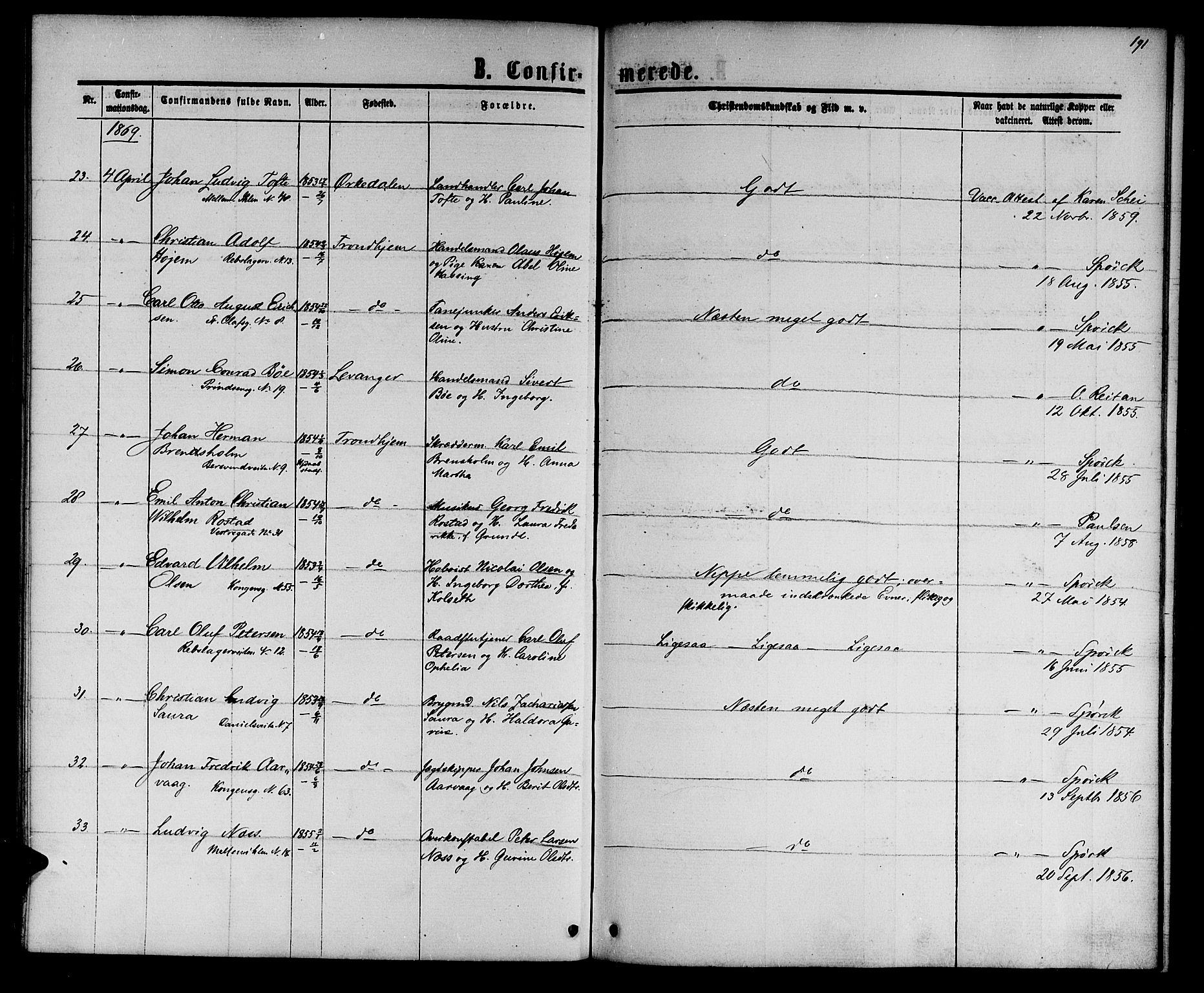 Ministerialprotokoller, klokkerbøker og fødselsregistre - Sør-Trøndelag, AV/SAT-A-1456/601/L0087: Parish register (copy) no. 601C05, 1864-1881, p. 191