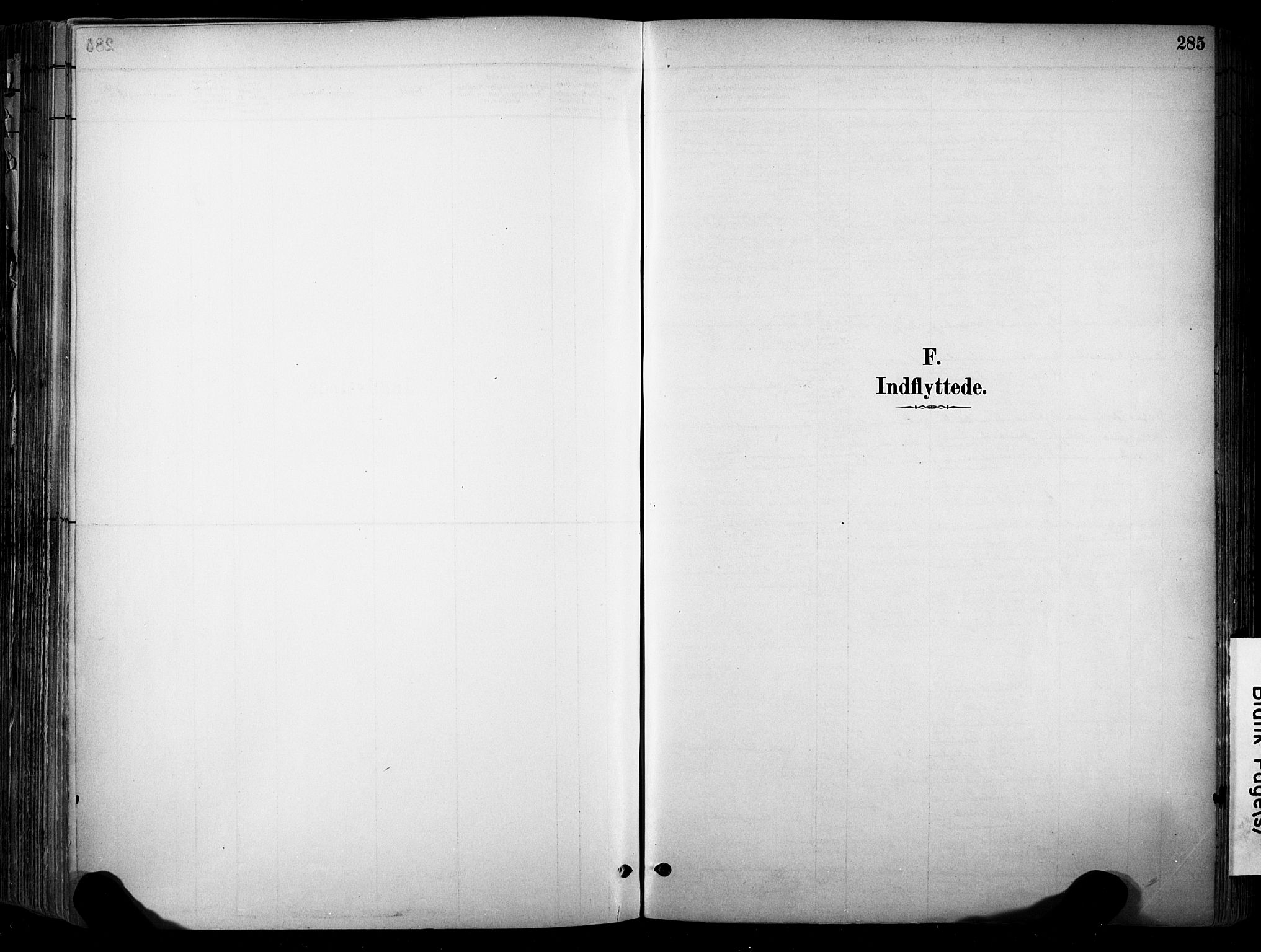 Stokke kirkebøker, AV/SAKO-A-320/F/Fa/L0010: Parish register (official) no. I 10, 1884-1903, p. 285