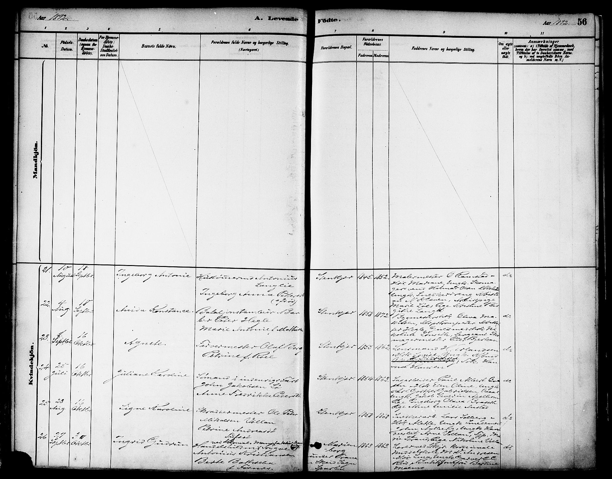 Ministerialprotokoller, klokkerbøker og fødselsregistre - Nord-Trøndelag, AV/SAT-A-1458/739/L0371: Parish register (official) no. 739A03, 1881-1895, p. 56