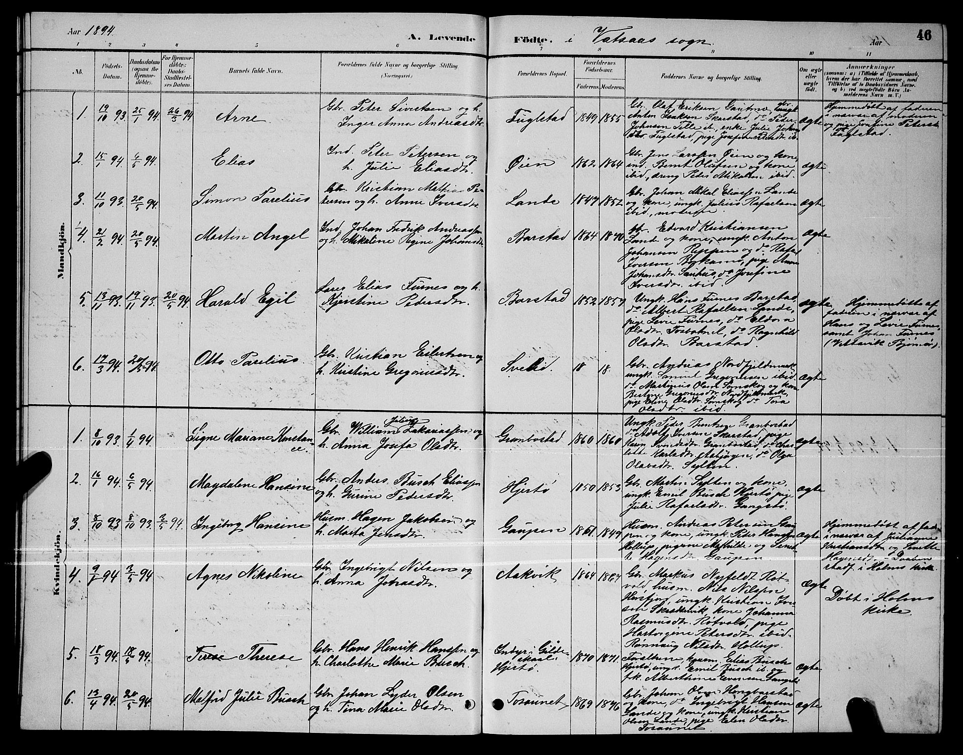 Ministerialprotokoller, klokkerbøker og fødselsregistre - Nordland, AV/SAT-A-1459/810/L0160: Parish register (copy) no. 810C03, 1884-1896, p. 46