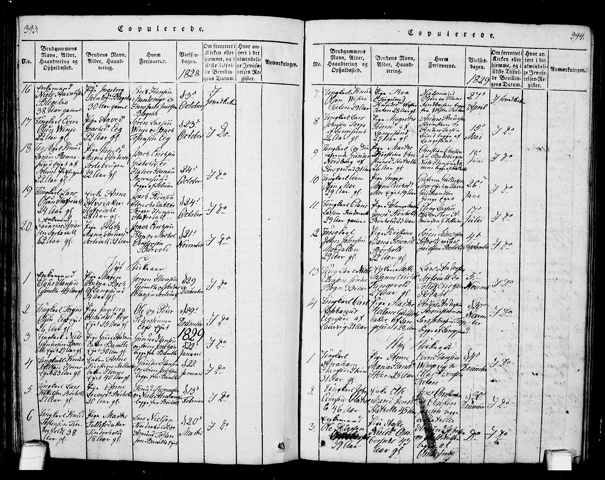 Bamble kirkebøker, SAKO/A-253/G/Ga/L0005: Parish register (copy) no. I 5, 1814-1855, p. 393-394