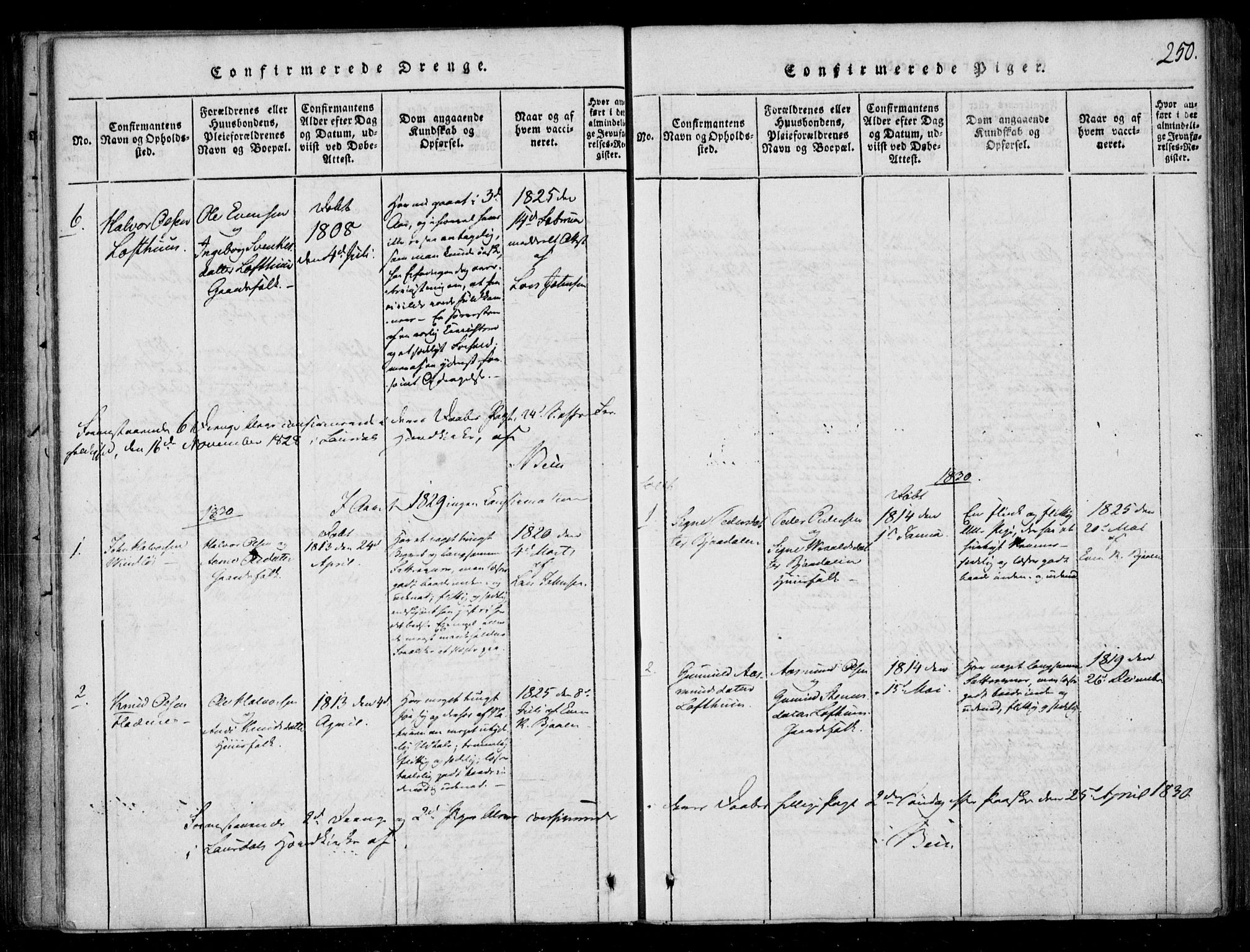 Lårdal kirkebøker, SAKO/A-284/F/Fb/L0001: Parish register (official) no. II 1, 1815-1860, p. 250