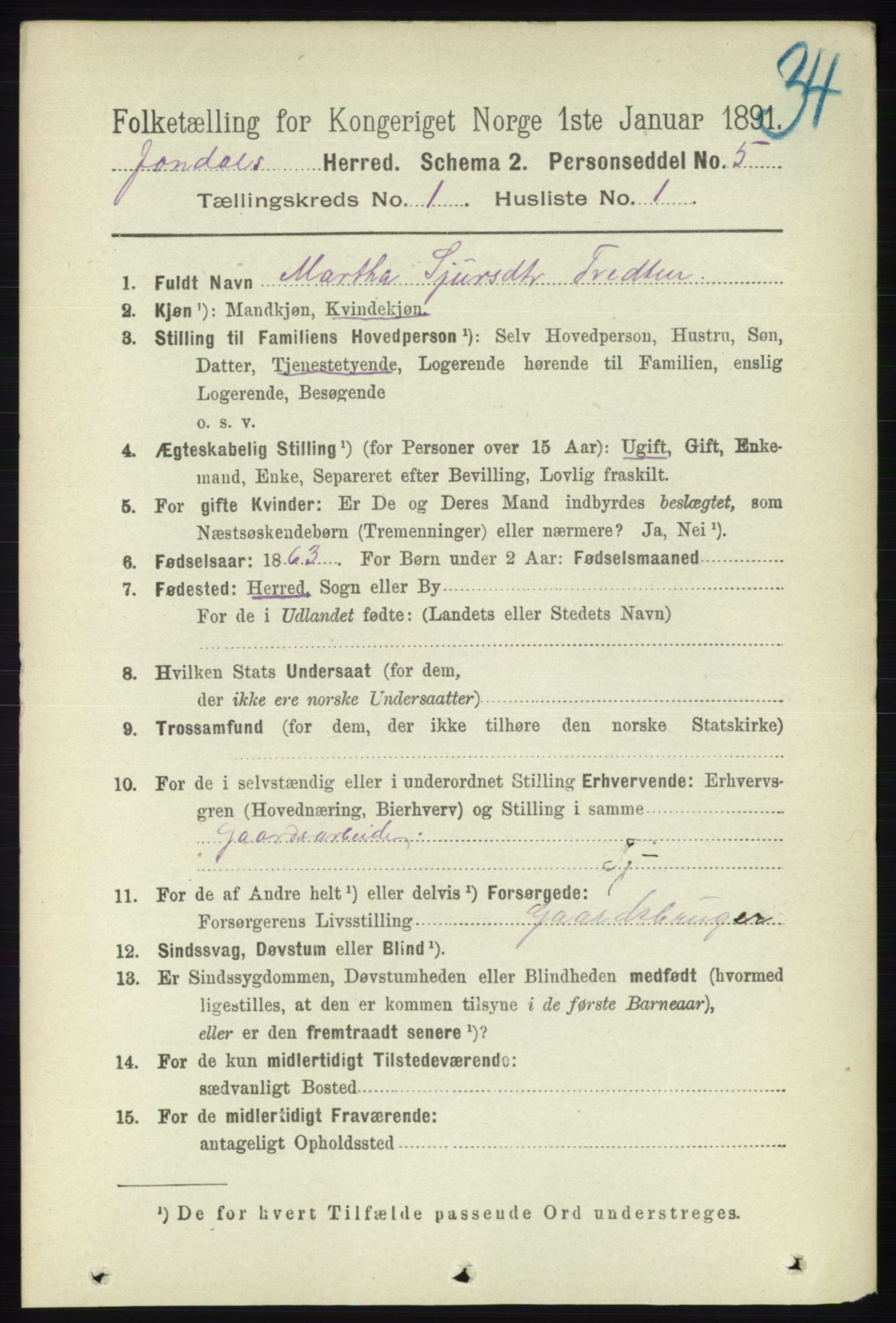 RA, 1891 census for 1227 Jondal, 1891, p. 142