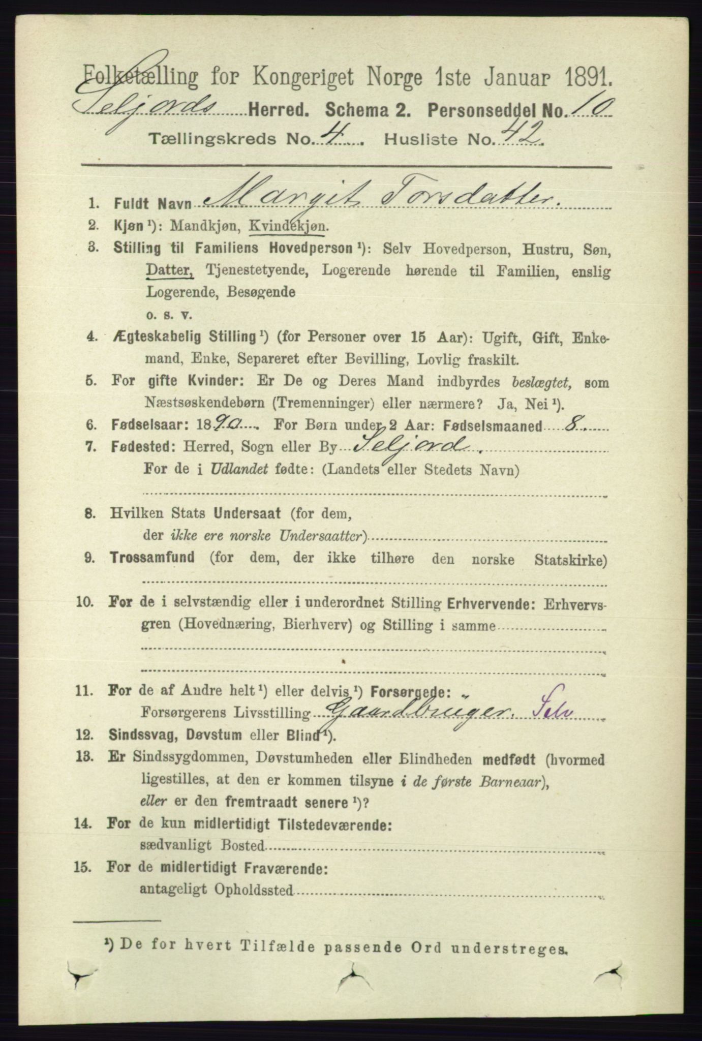 RA, 1891 census for 0828 Seljord, 1891, p. 1536