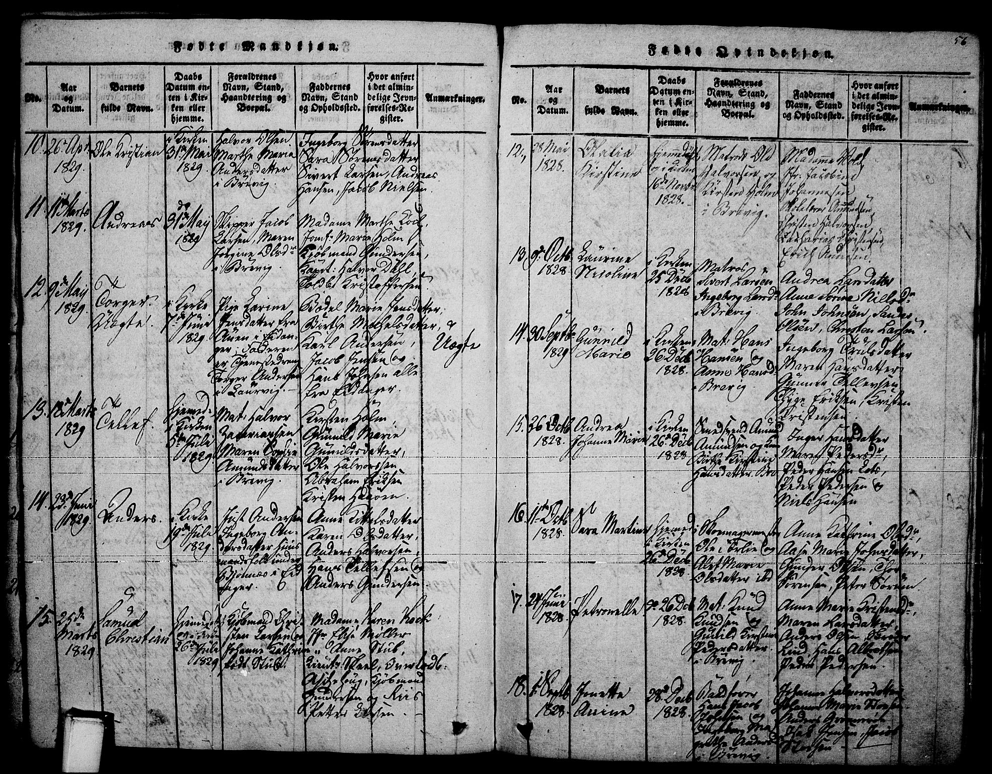 Brevik kirkebøker, SAKO/A-255/F/Fa/L0004: Parish register (official) no. 4, 1814-1846, p. 56