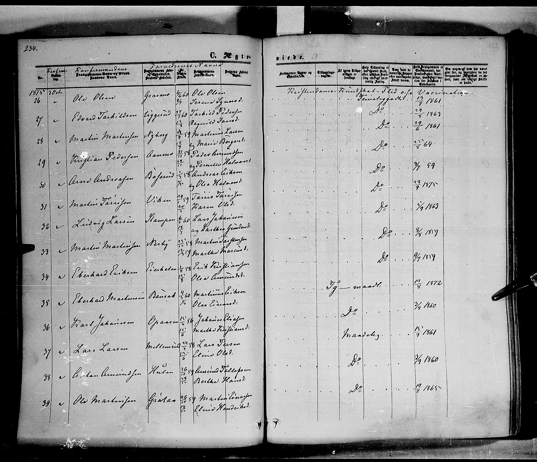 Hof prestekontor, AV/SAH-PREST-038/H/Ha/Haa/L0009: Parish register (official) no. 9, 1862-1877, p. 234