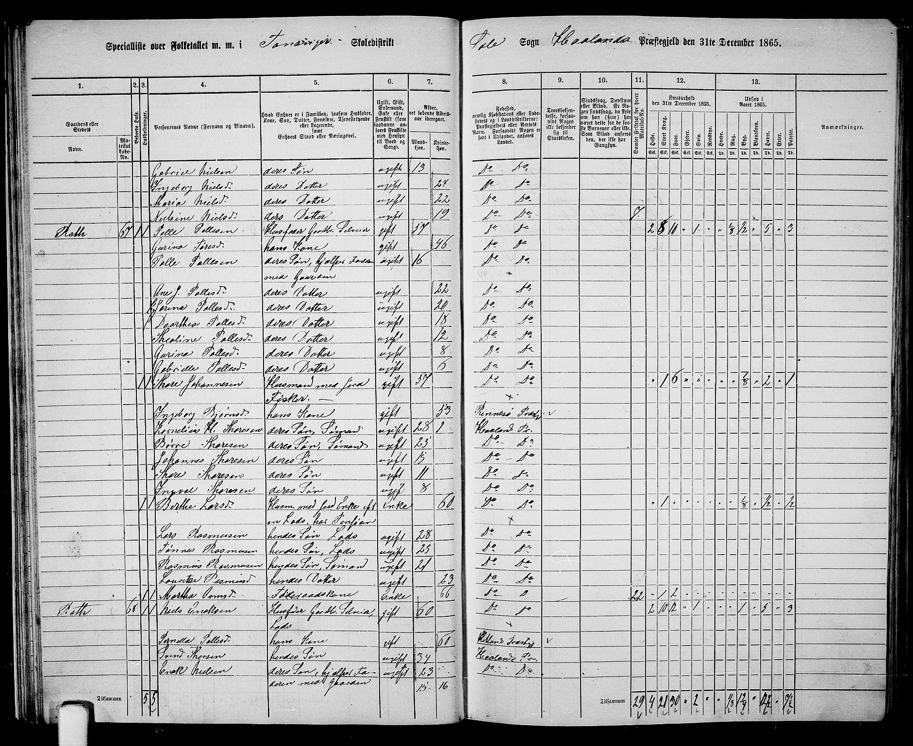 RA, 1865 census for Håland, 1865, p. 32