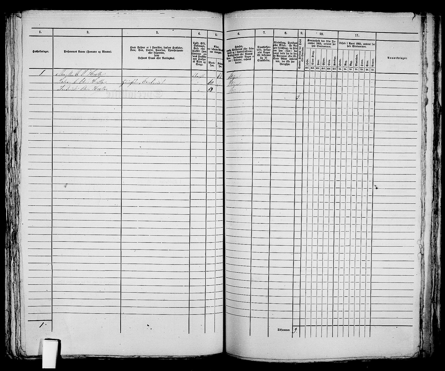 RA, 1865 census for Skien, 1865, p. 246