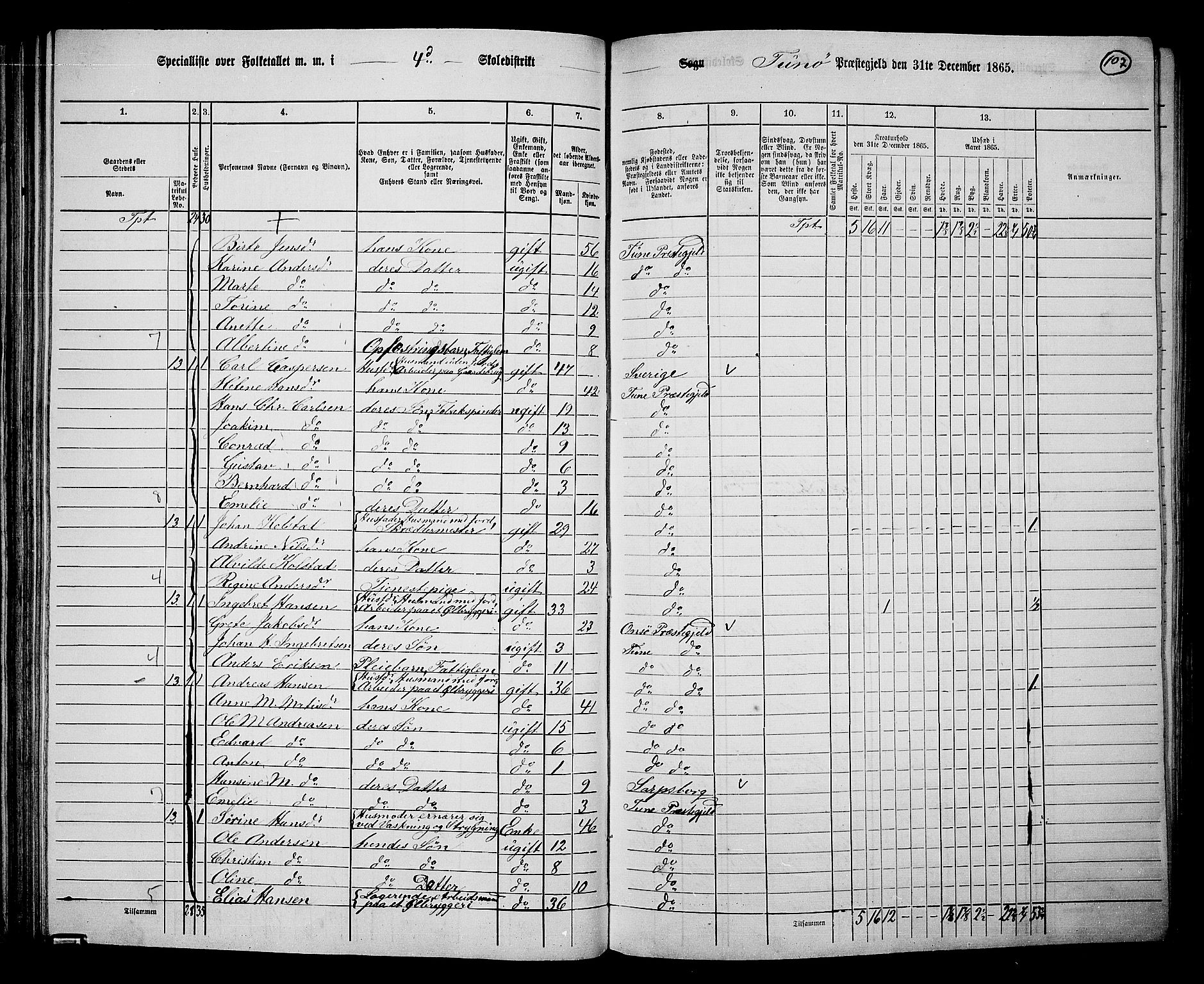 RA, 1865 census for Tune, 1865, p. 100