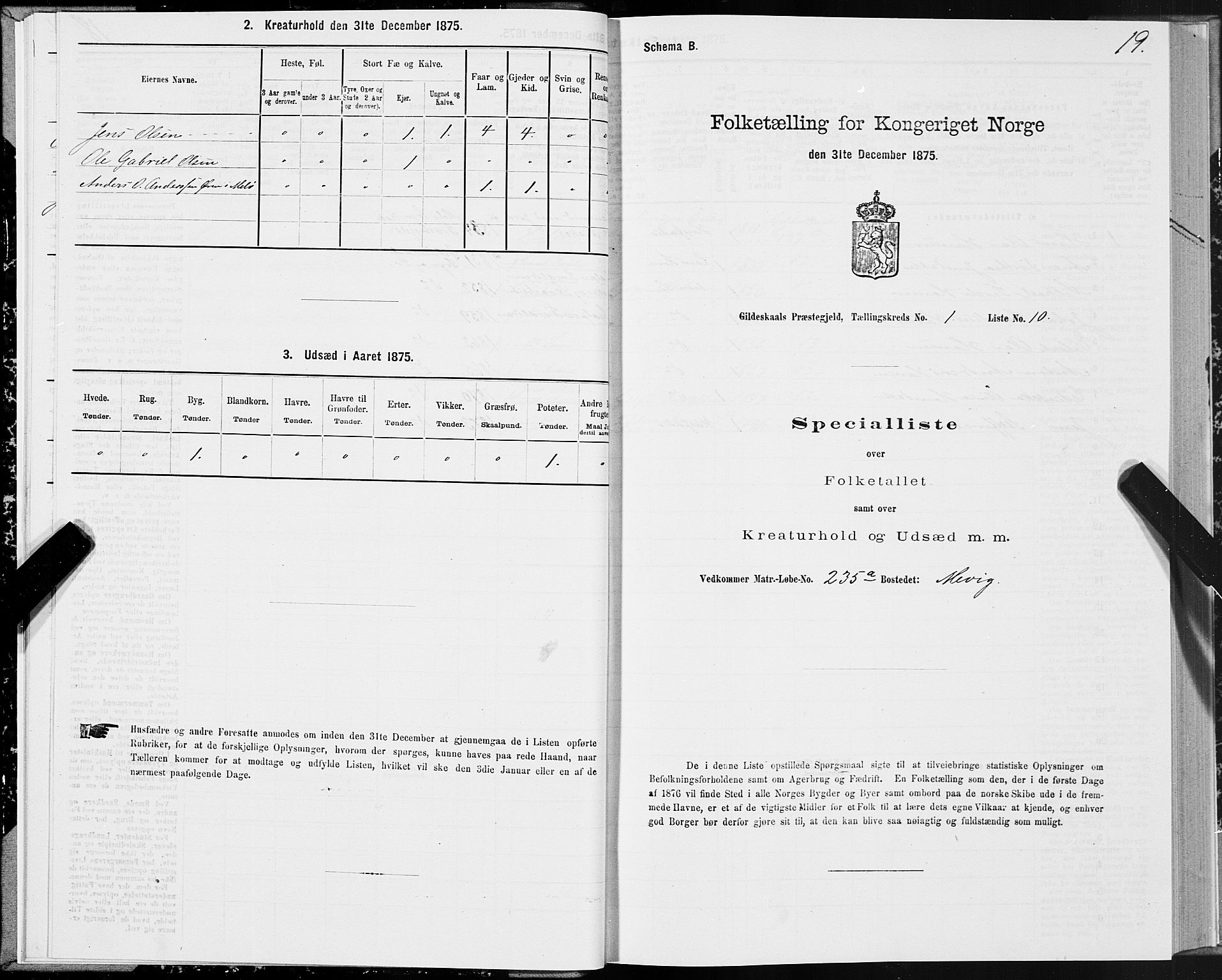 SAT, 1875 census for 1838P Gildeskål, 1875, p. 1019
