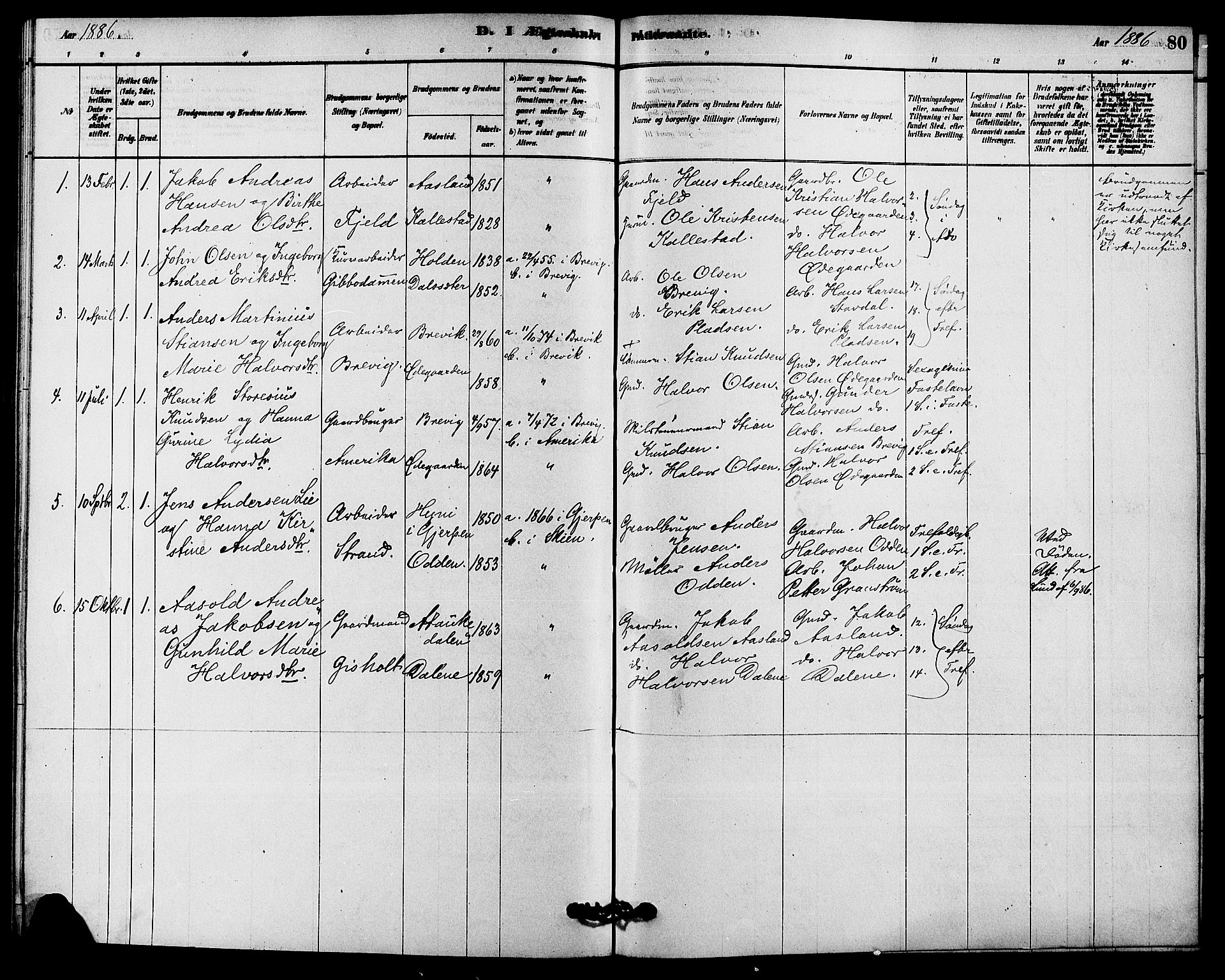 Solum kirkebøker, SAKO/A-306/F/Fc/L0001: Parish register (official) no. III 1, 1877-1891, p. 80