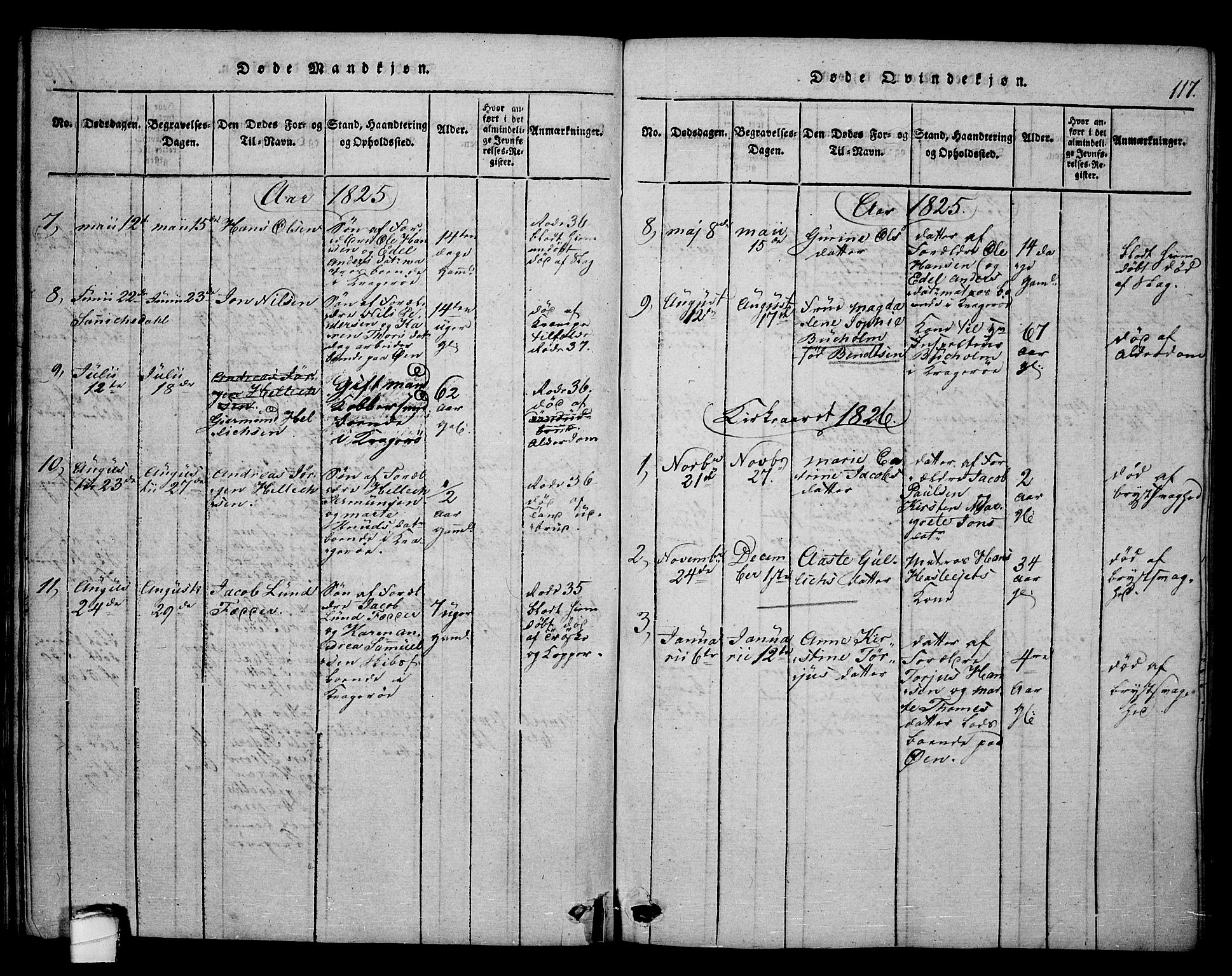 Kragerø kirkebøker, SAKO/A-278/F/Fa/L0004: Parish register (official) no. 4, 1814-1831, p. 117