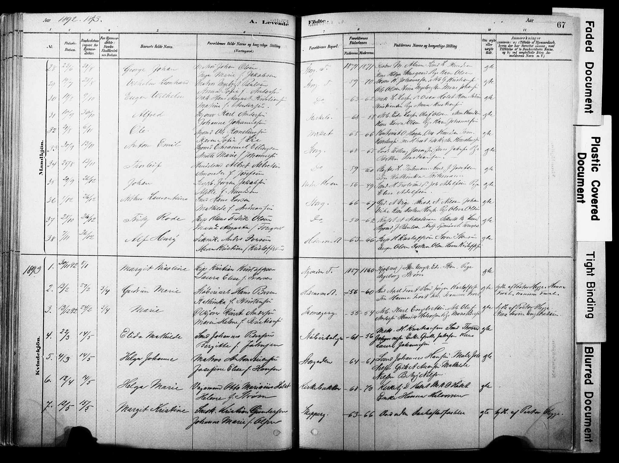 Strømsø kirkebøker, SAKO/A-246/F/Fb/L0006: Parish register (official) no. II 6, 1879-1910, p. 67
