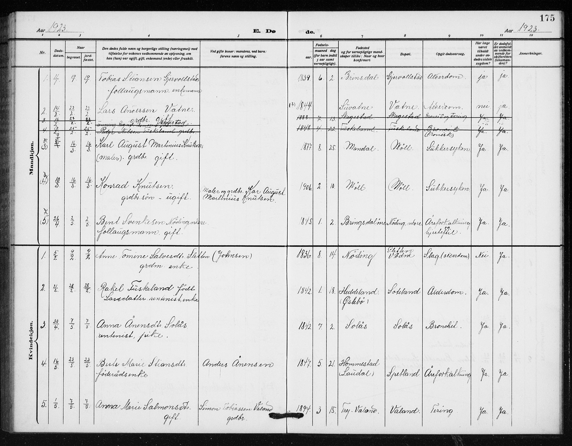Holum sokneprestkontor, SAK/1111-0022/F/Fb/Fba/L0006: Parish register (copy) no. B 6, 1910-1936, p. 175