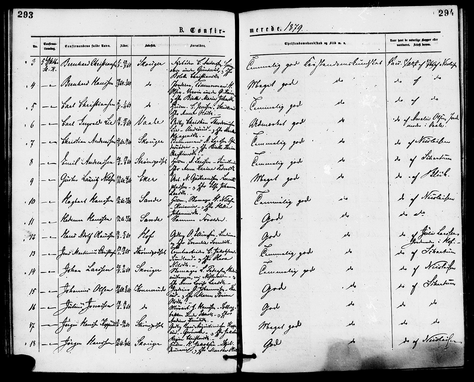 Skoger kirkebøker, AV/SAKO-A-59/F/Fa/L0005: Parish register (official) no. I 5, 1873-1884, p. 293-294