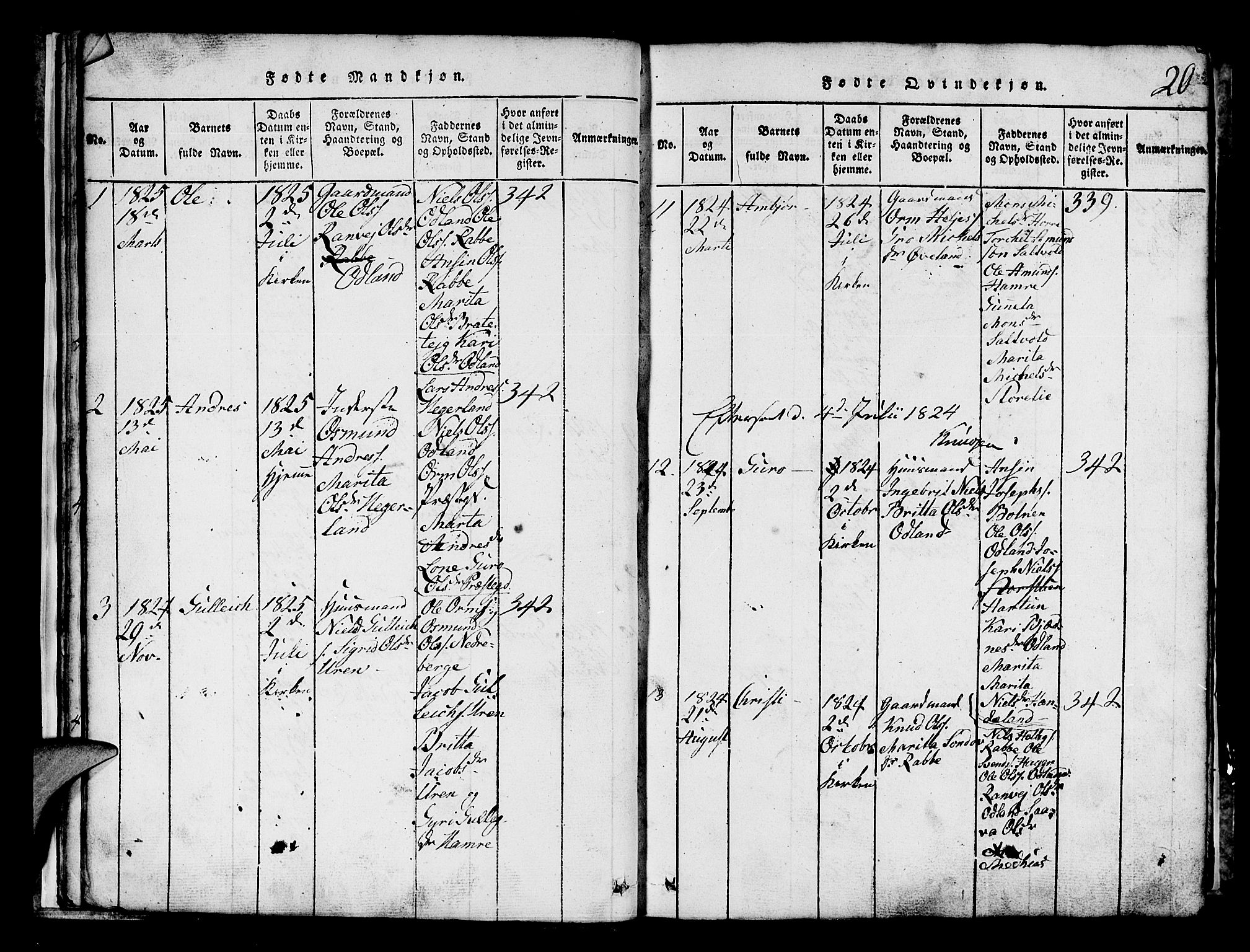 Røldal sokneprestembete, AV/SAB-A-100247: Parish register (copy) no. A 1, 1817-1860, p. 20