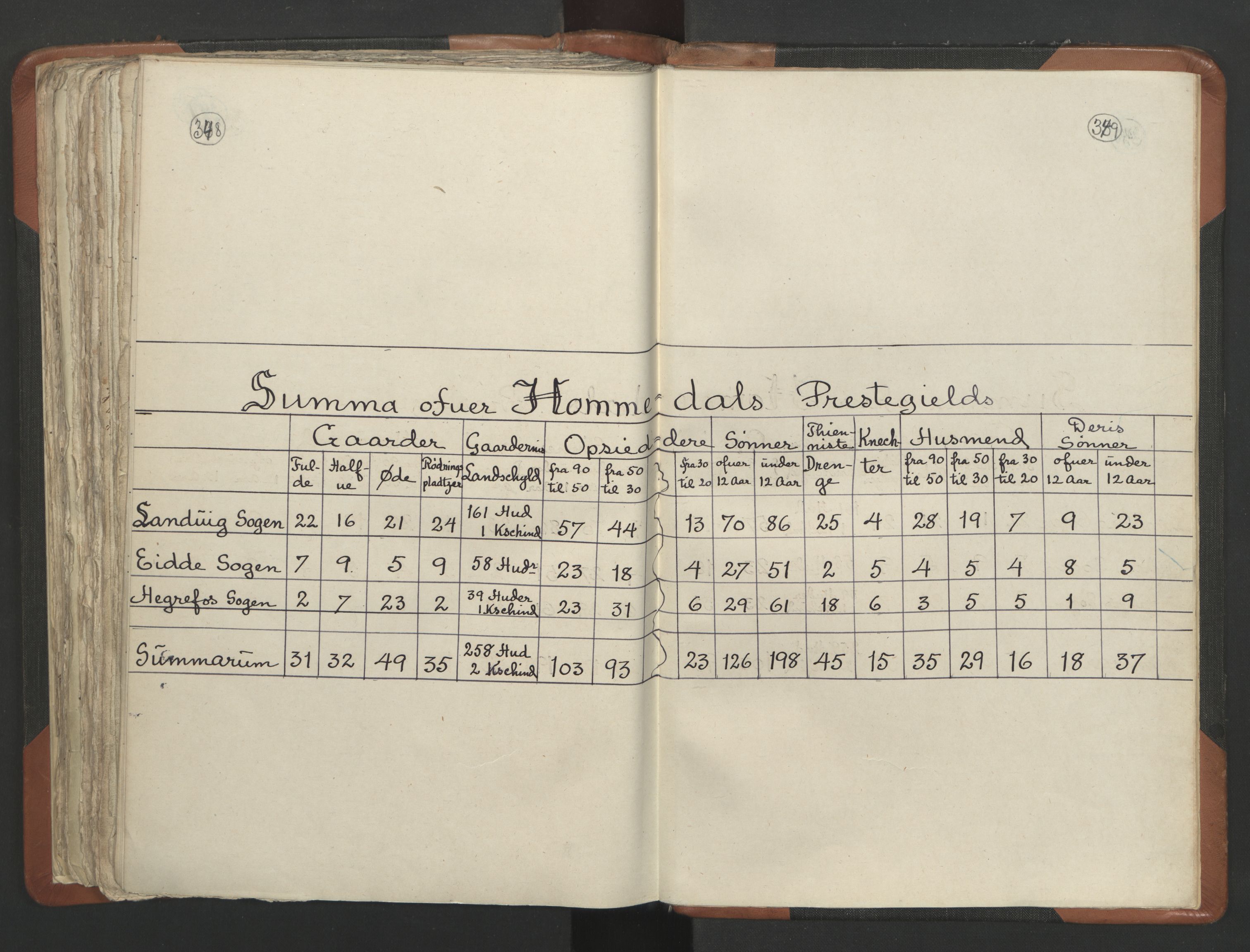 RA, Vicar's Census 1664-1666, no. 13: Nedenes deanery, 1664-1666, p. 348-349