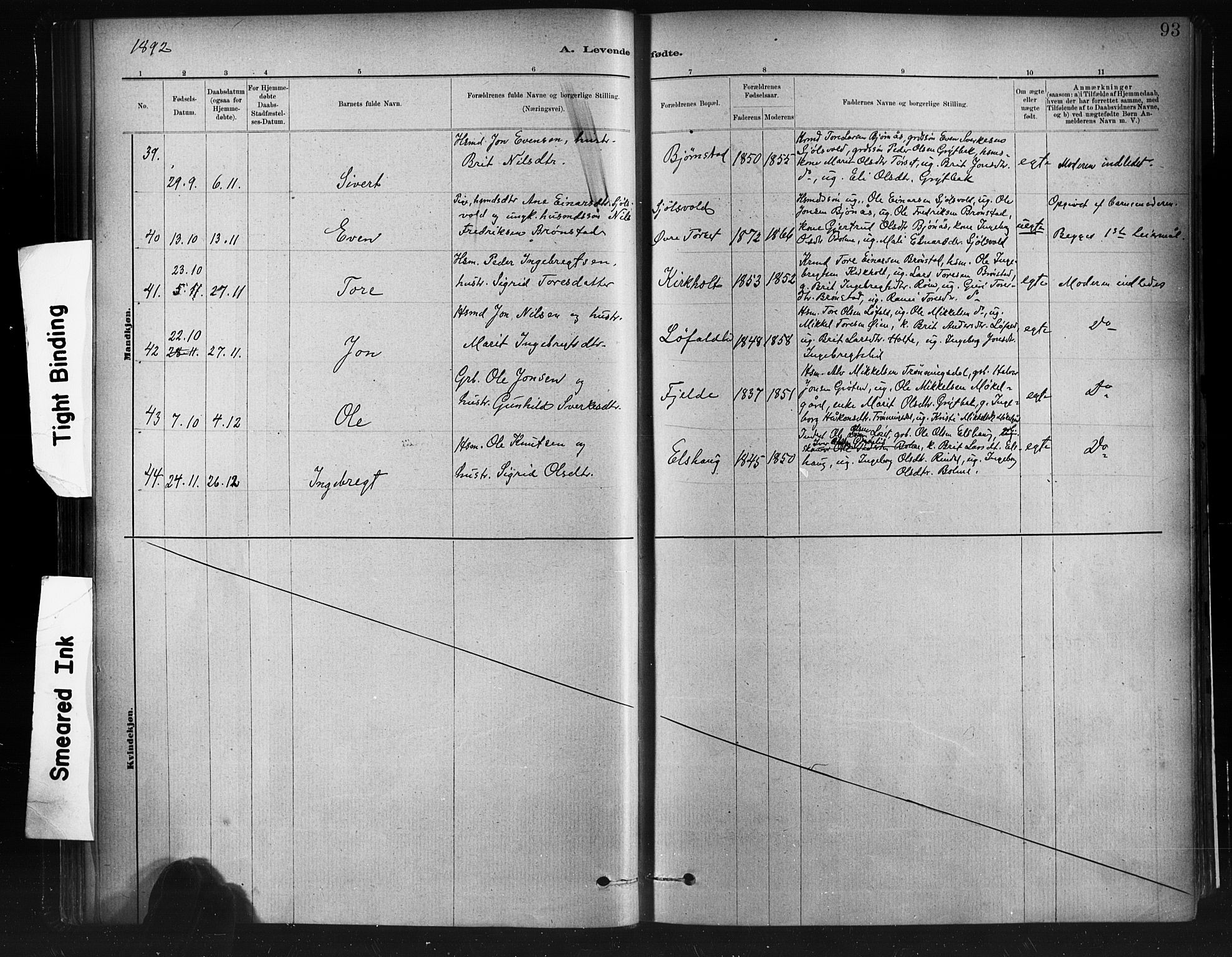 Ministerialprotokoller, klokkerbøker og fødselsregistre - Møre og Romsdal, AV/SAT-A-1454/598/L1069: Parish register (official) no. 598A03, 1882-1895, p. 93