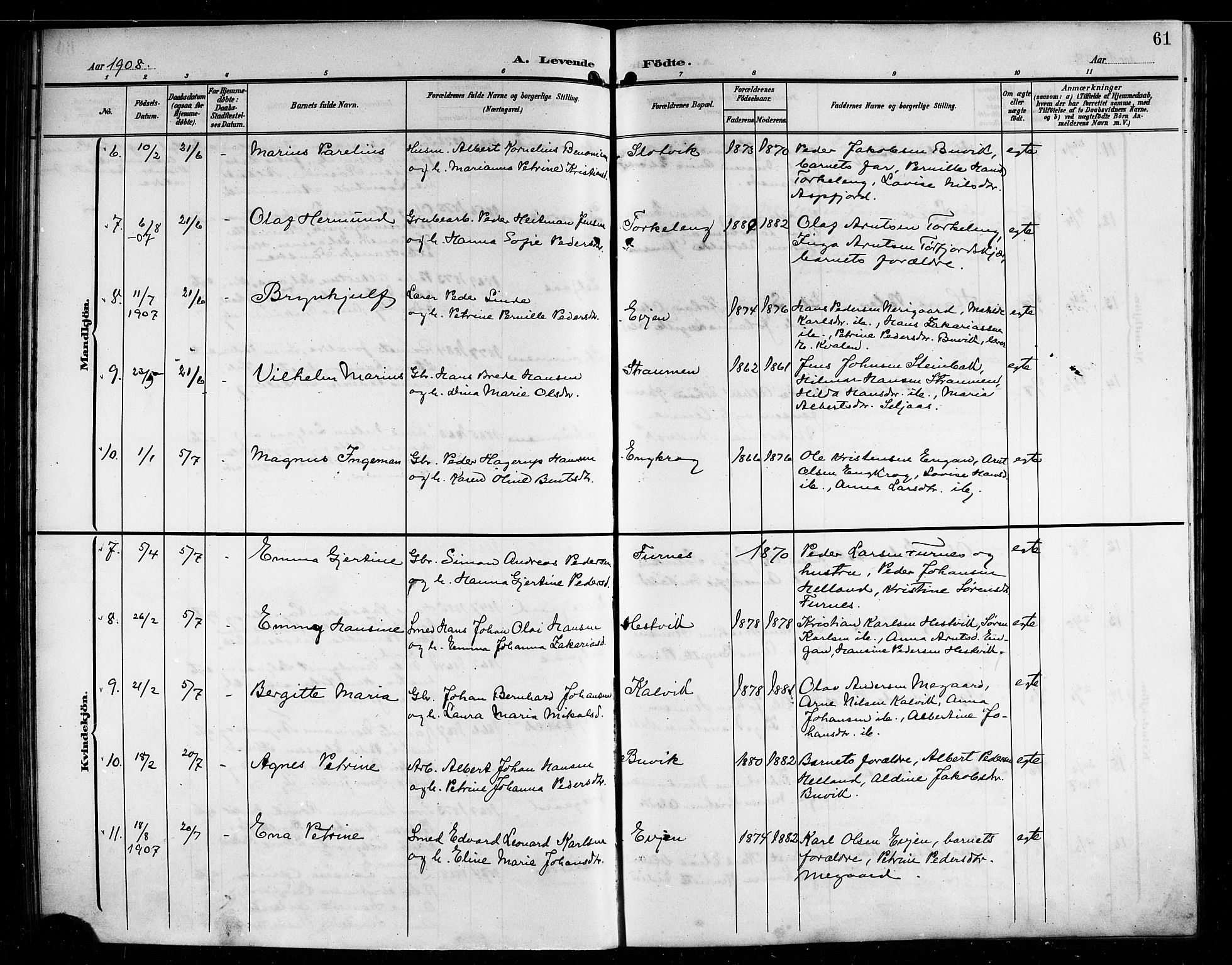 Ministerialprotokoller, klokkerbøker og fødselsregistre - Nordland, AV/SAT-A-1459/854/L0786: Parish register (copy) no. 854C02, 1901-1912, p. 61