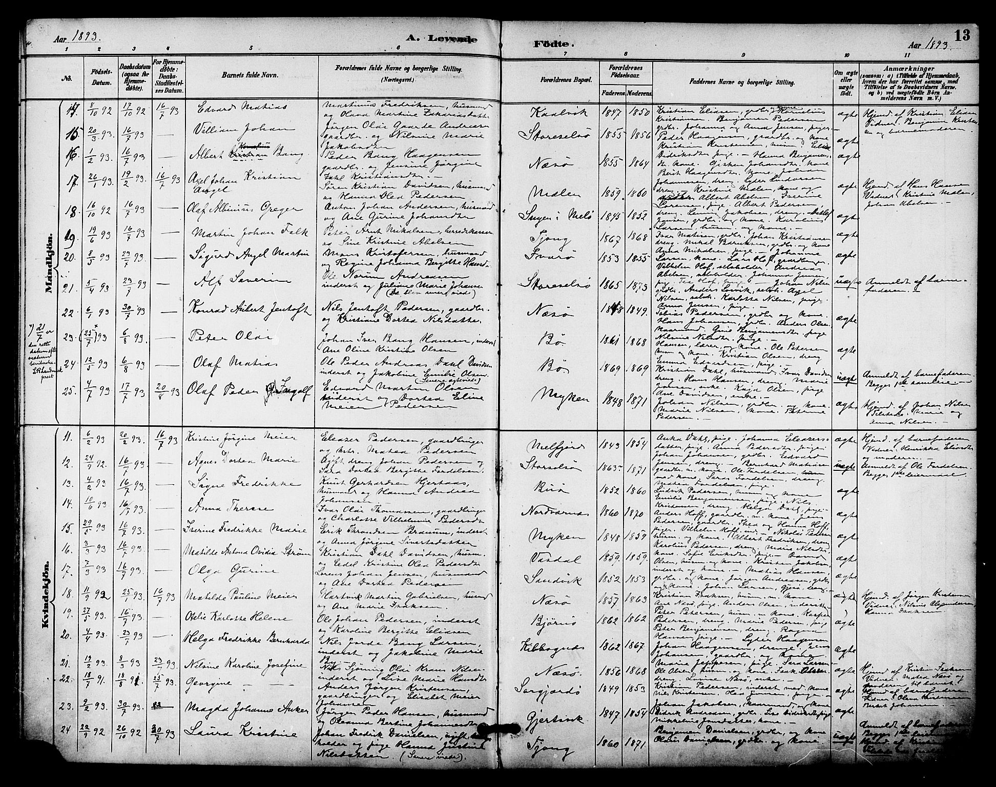 Ministerialprotokoller, klokkerbøker og fødselsregistre - Nordland, SAT/A-1459/841/L0610: Parish register (official) no. 841A14, 1890-1901, p. 13