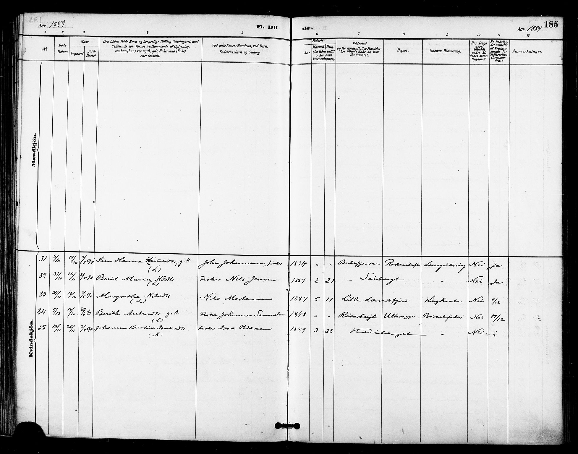 Talvik sokneprestkontor, AV/SATØ-S-1337/H/Ha/L0013kirke: Parish register (official) no. 13, 1886-1897, p. 185