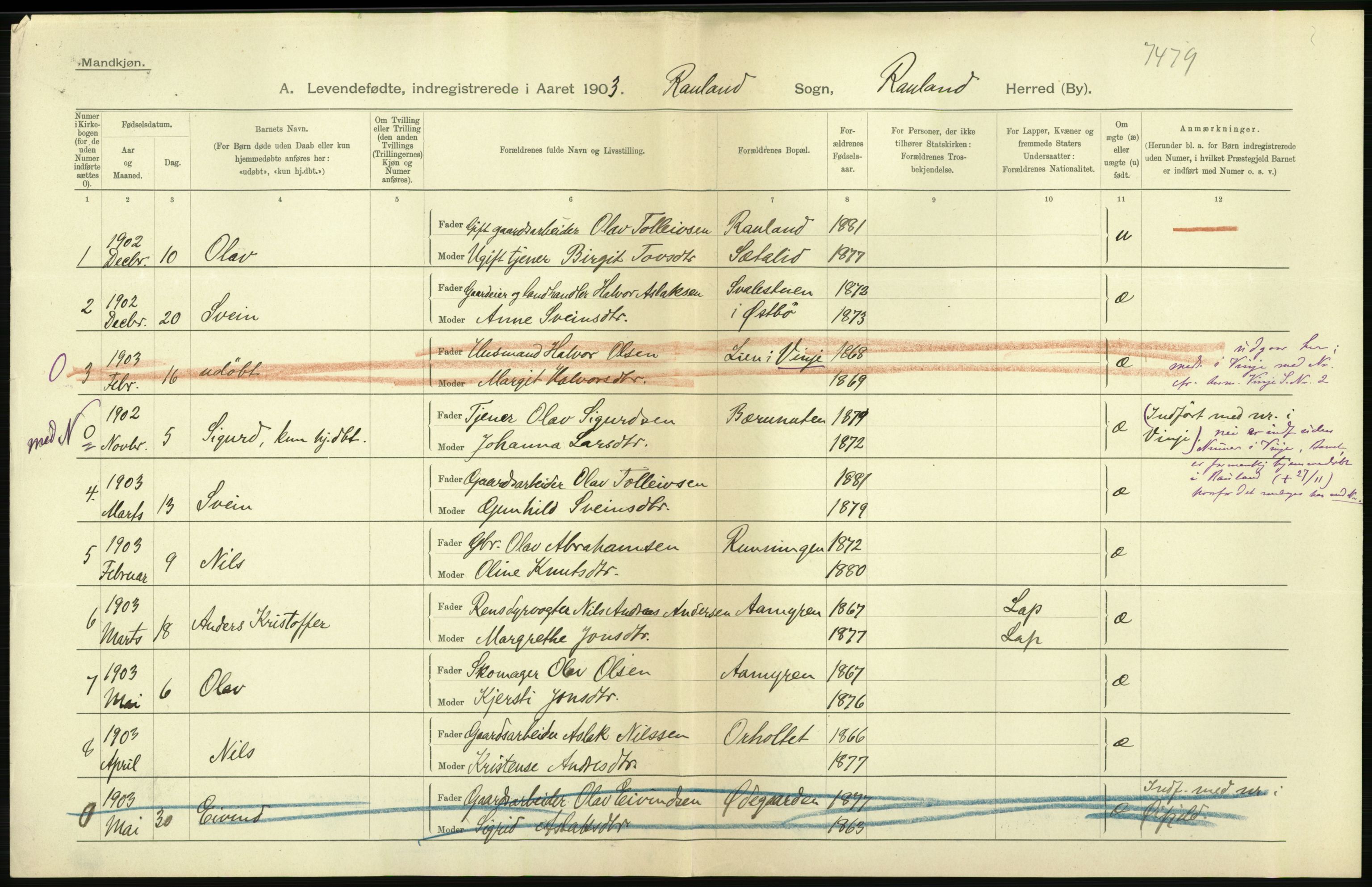 Statistisk sentralbyrå, Sosiodemografiske emner, Befolkning, RA/S-2228/D/Df/Dfa/Dfaa/L0009: Bratsberg amt: Fødte, gifte, døde, 1903, p. 8