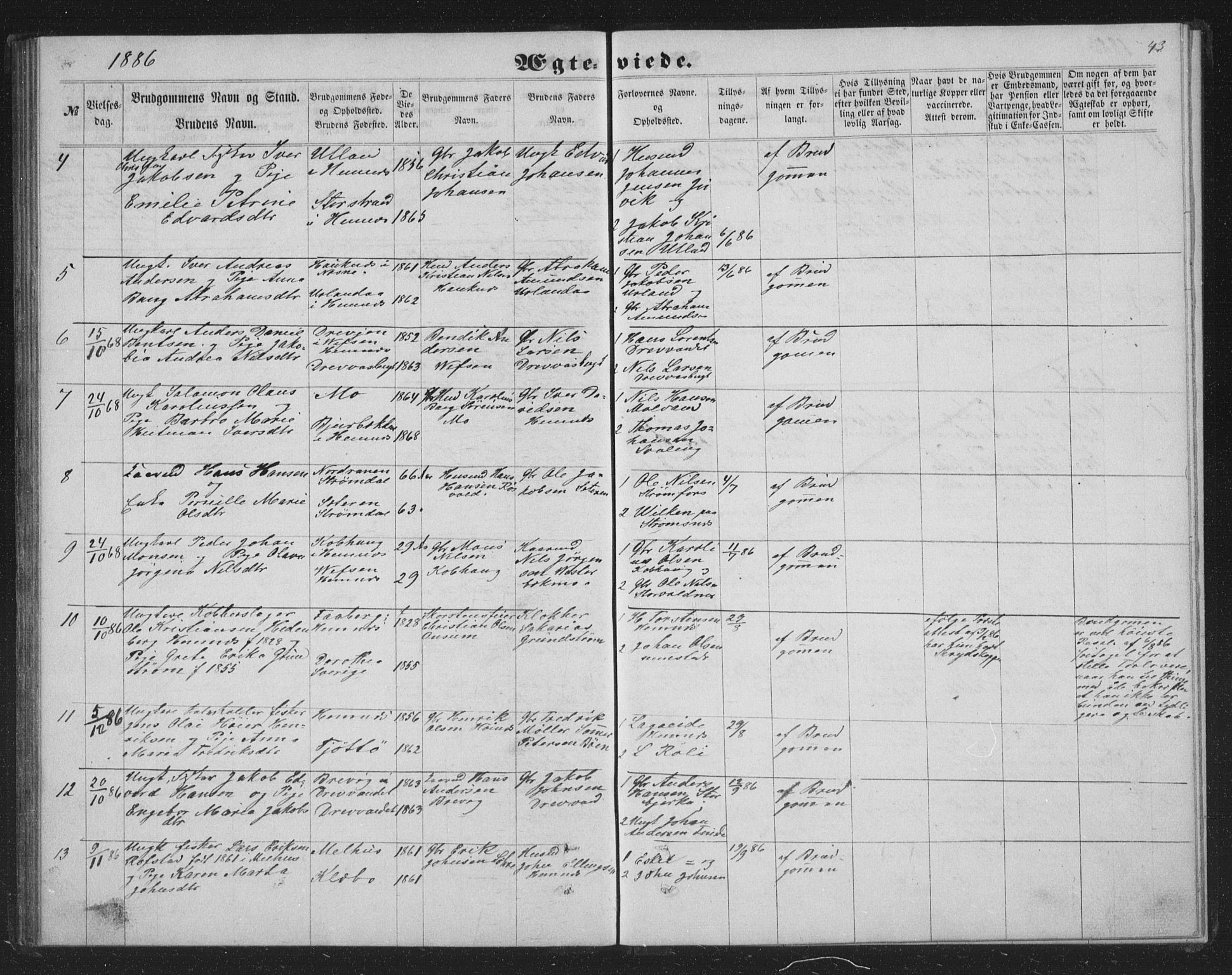 Ministerialprotokoller, klokkerbøker og fødselsregistre - Nordland, AV/SAT-A-1459/825/L0367: Parish register (copy) no. 825C04, 1863-1887, p. 43