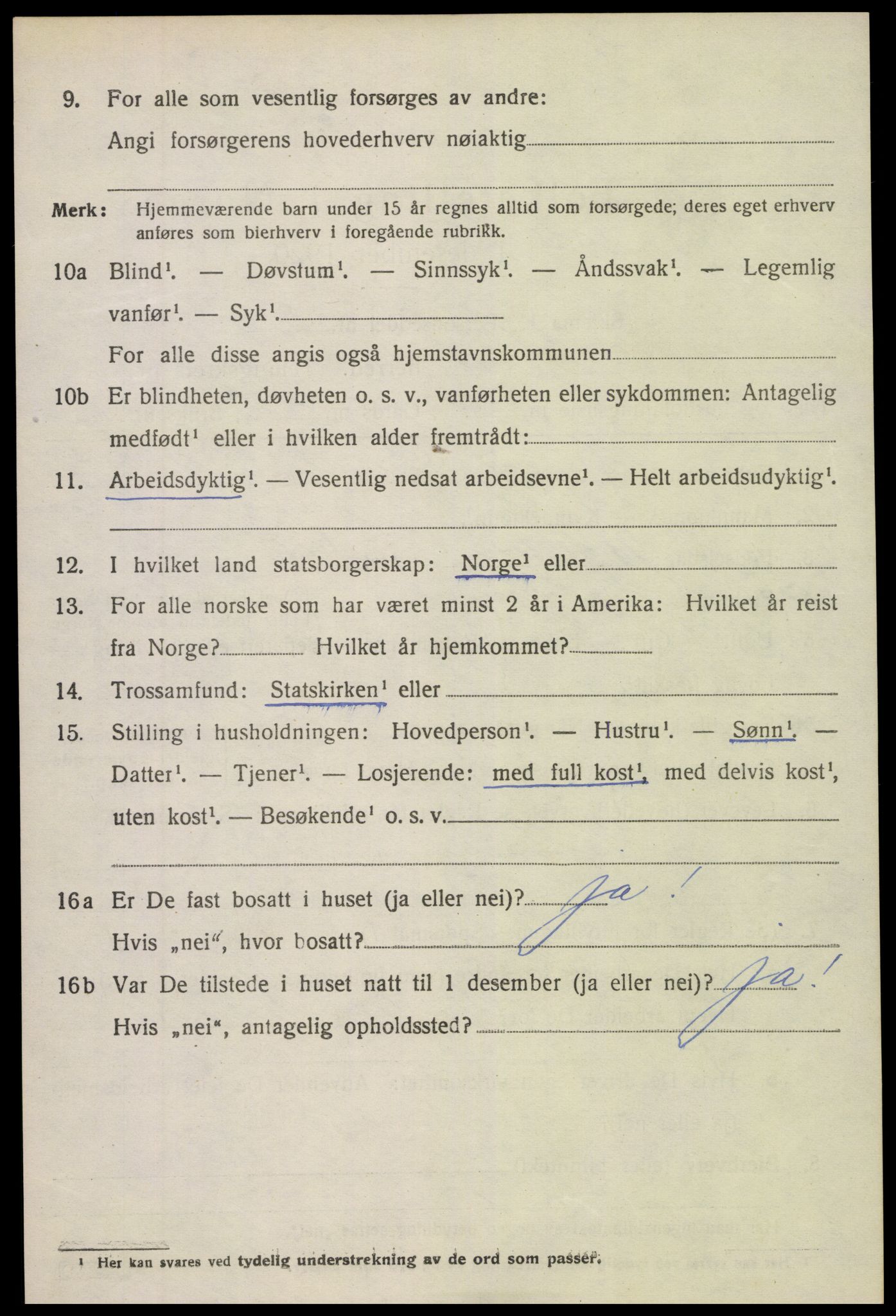 SAK, 1920 census for Holt, 1920, p. 4919