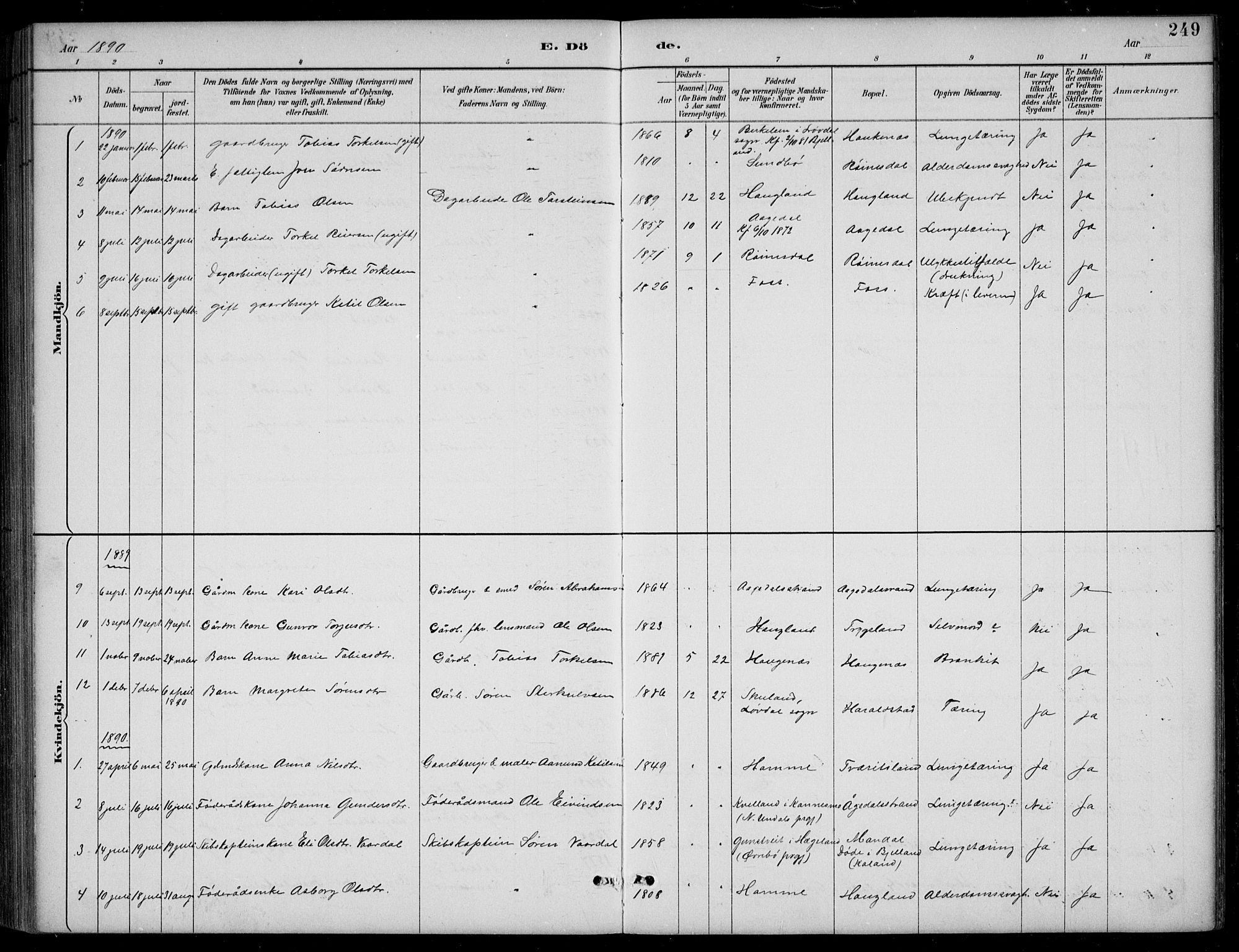 Bjelland sokneprestkontor, SAK/1111-0005/F/Fb/Fba/L0005: Parish register (copy) no. B 5, 1887-1923, p. 249