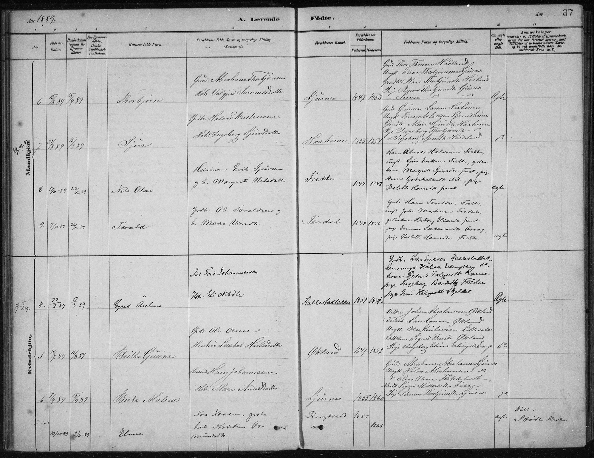 Etne sokneprestembete, AV/SAB-A-75001/H/Haa: Parish register (official) no. D  1, 1879-1919, p. 37