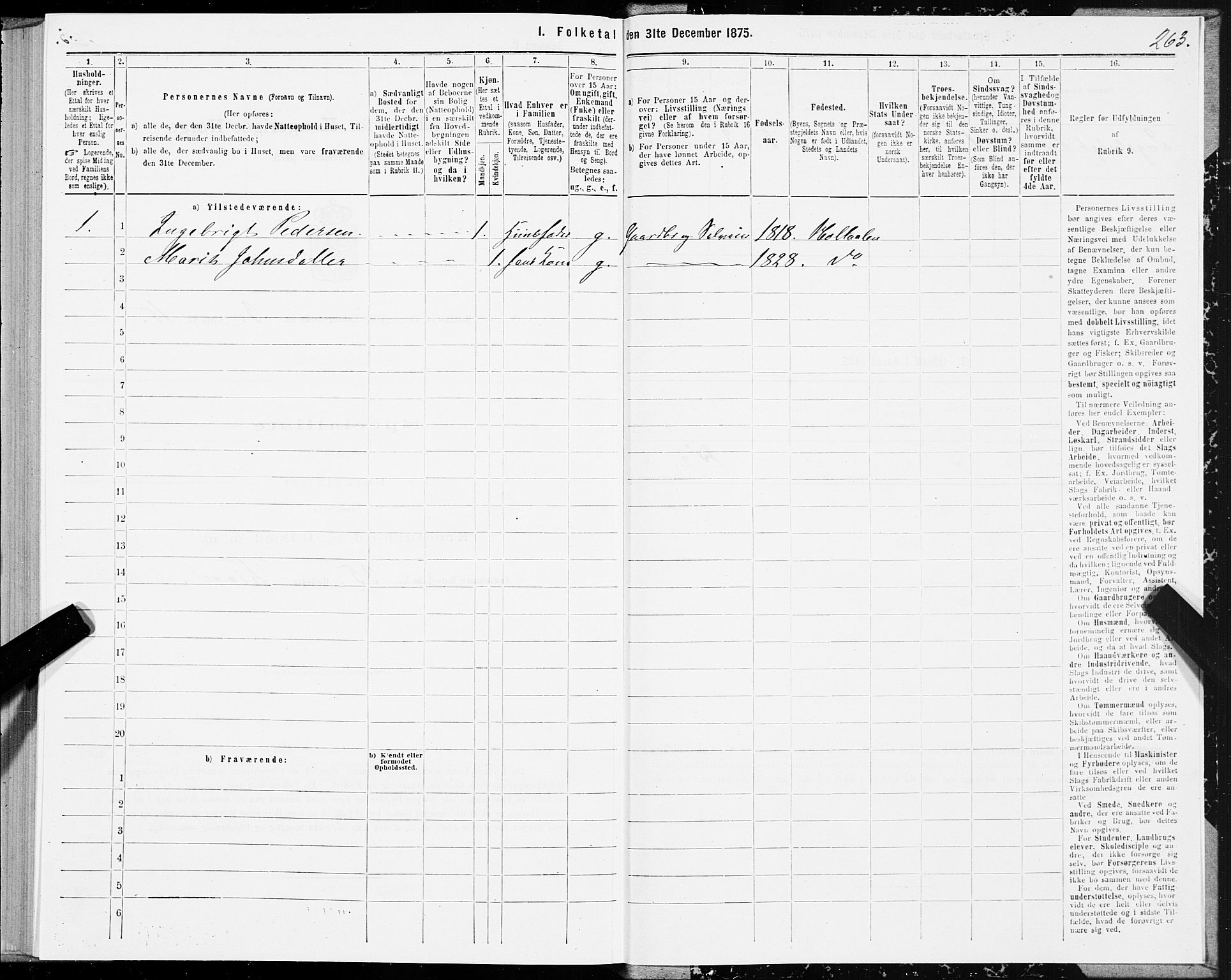 SAT, 1875 census for 1645P Haltdalen, 1875, p. 1263