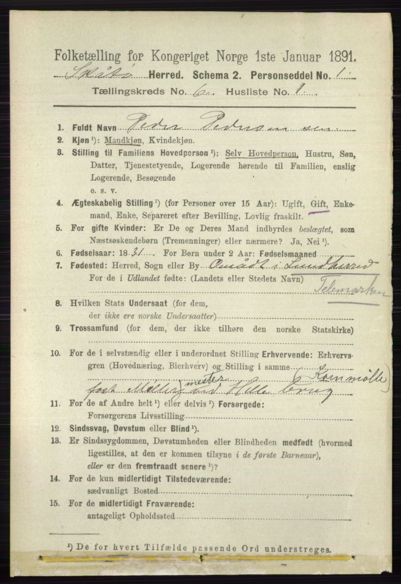 RA, 1891 census for 0815 Skåtøy, 1891, p. 2896