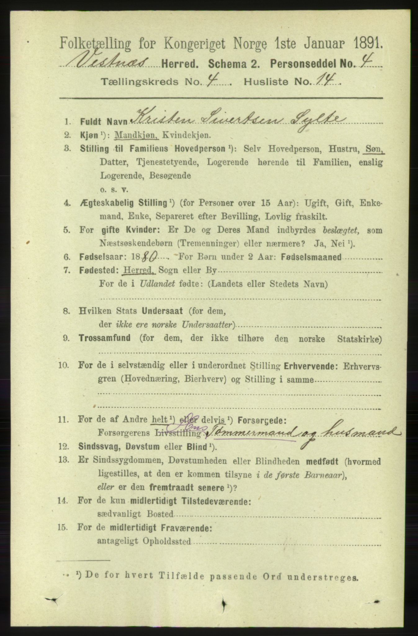 RA, 1891 census for 1535 Vestnes, 1891, p. 1376