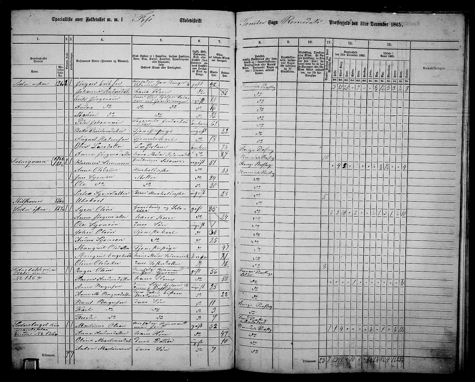 RA, 1865 census for Romedal, 1865, p. 178