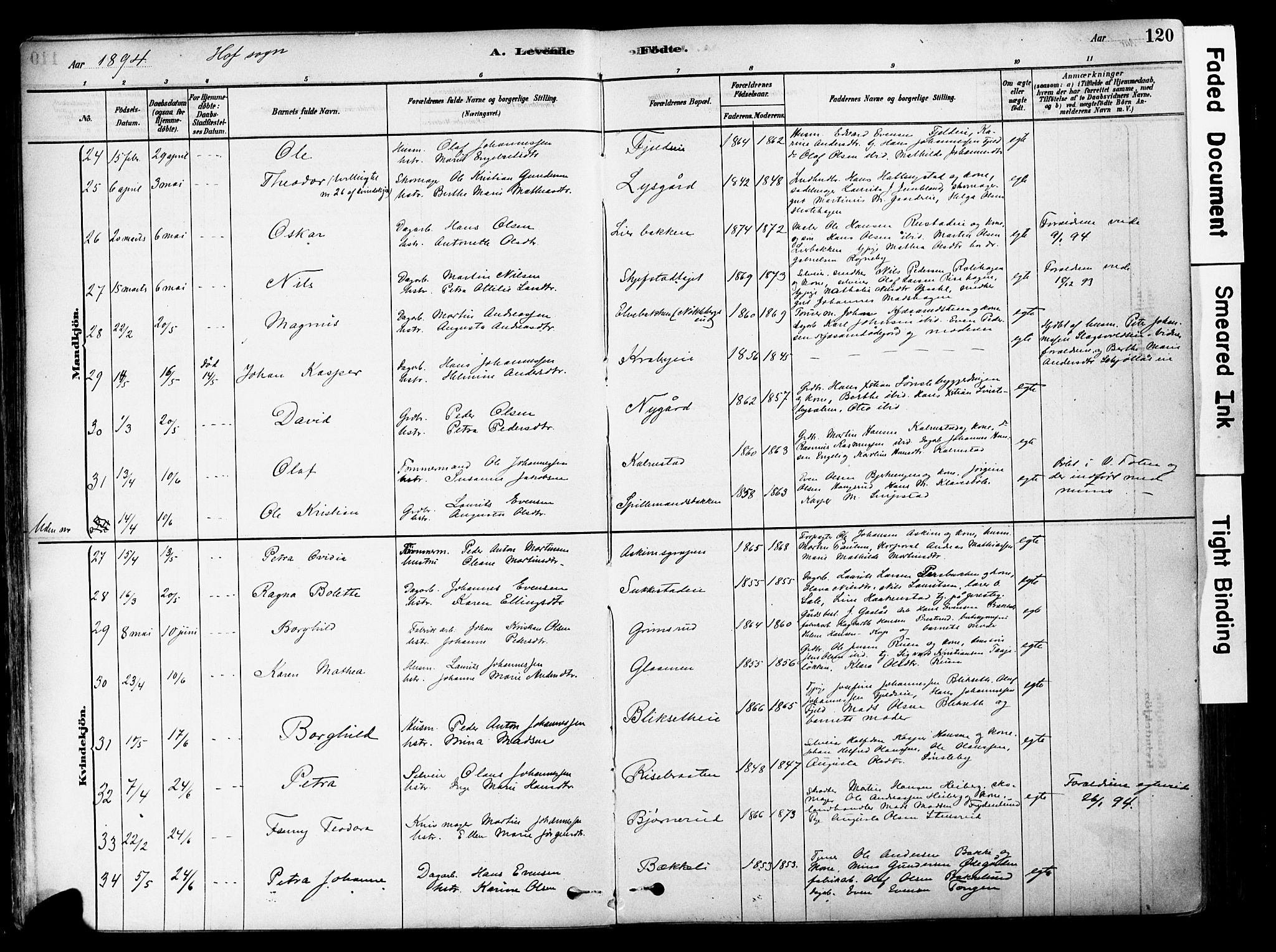 Østre Toten prestekontor, AV/SAH-PREST-104/H/Ha/Haa/L0006: Parish register (official) no. 6 /1, 1878-1896, p. 120