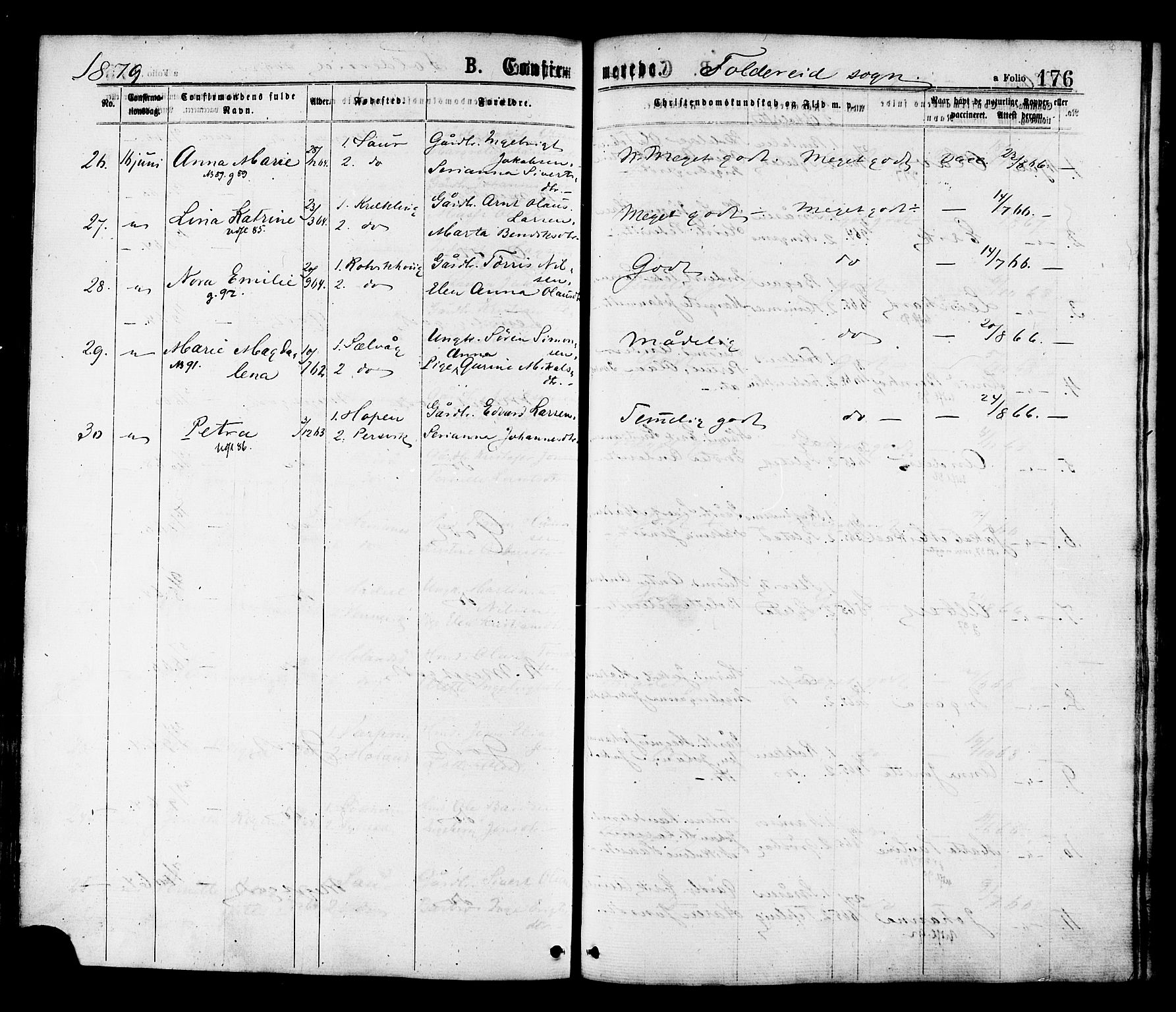 Ministerialprotokoller, klokkerbøker og fødselsregistre - Nord-Trøndelag, AV/SAT-A-1458/780/L0642: Parish register (official) no. 780A07 /2, 1878-1885, p. 176