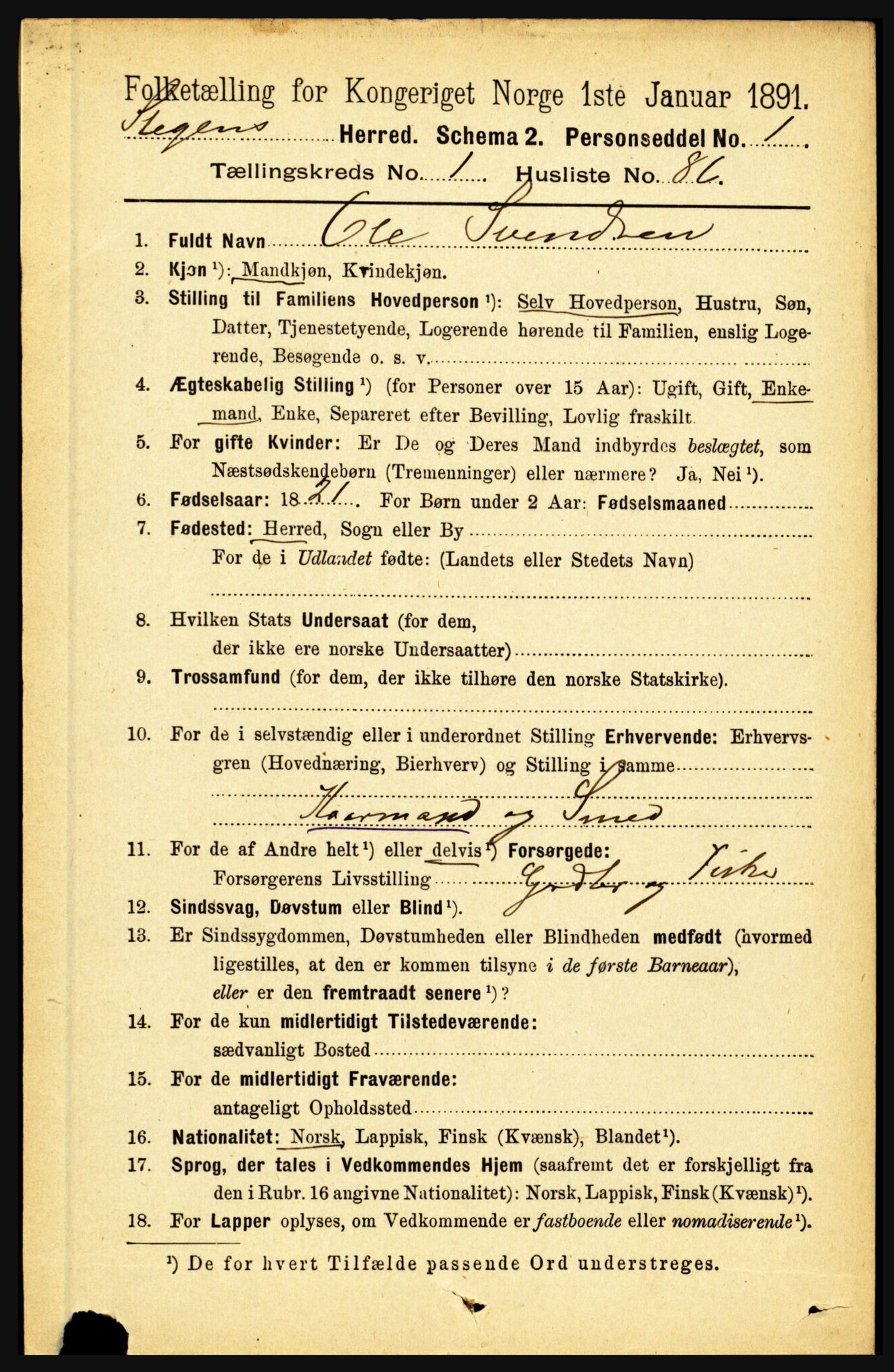 RA, 1891 census for 1848 Steigen, 1891, p. 610