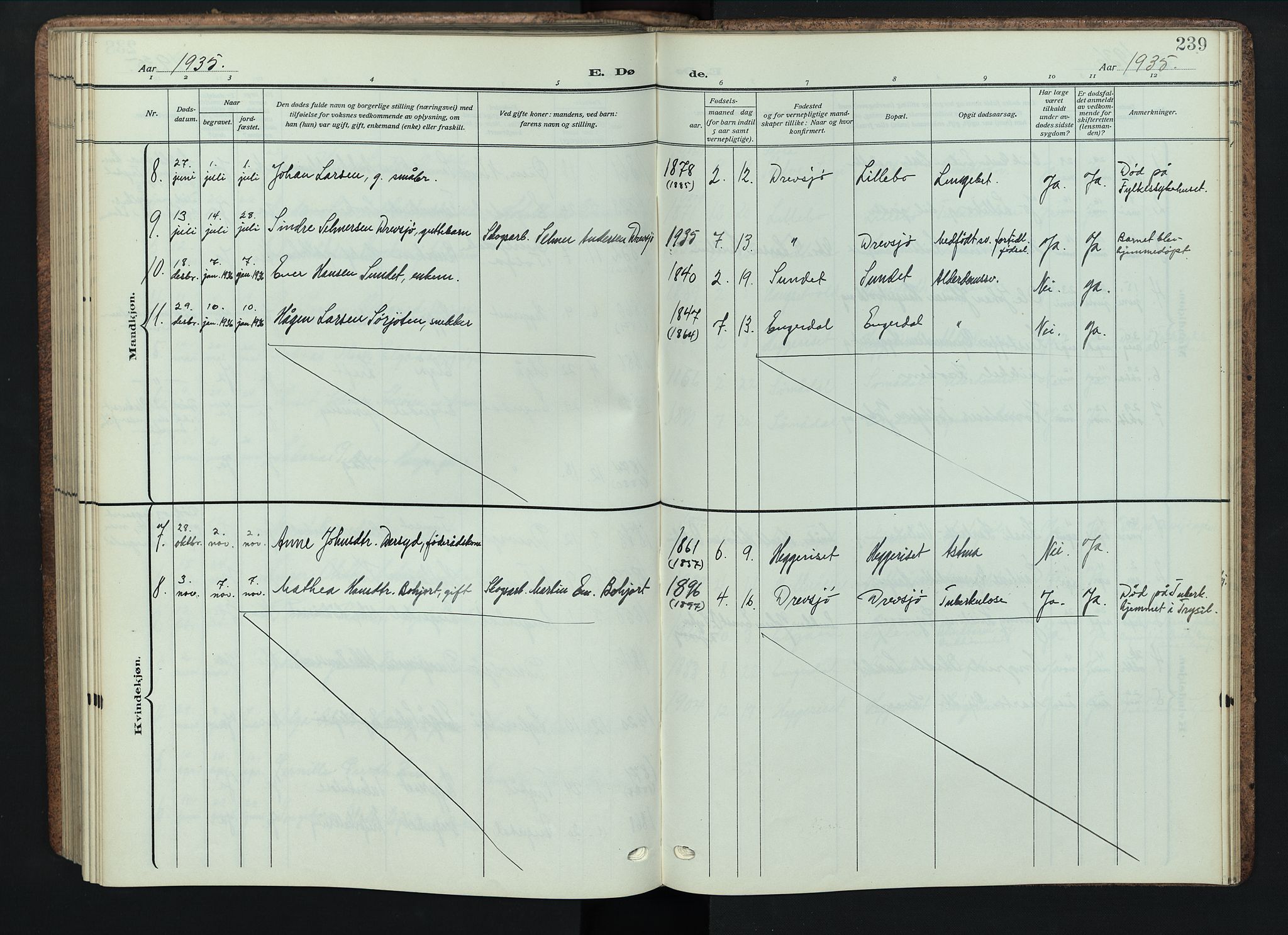 Engerdal prestekontor, AV/SAH-PREST-048/H/Ha/Hab/L0001: Parish register (copy) no. 1, 1911-1947, p. 239