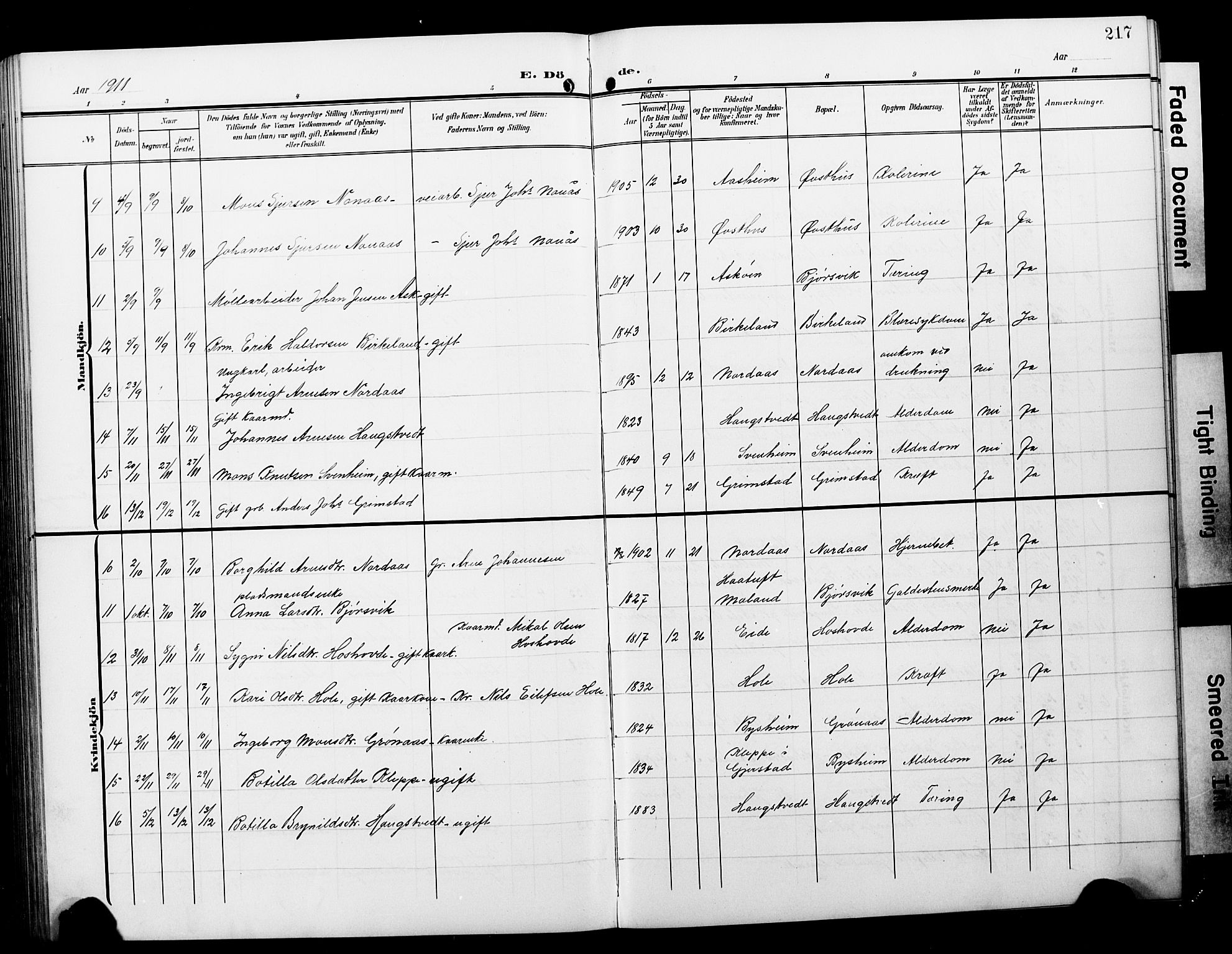 Hosanger sokneprestembete, AV/SAB-A-75801/H/Hab: Parish register (copy) no. A 4, 1904-1927, p. 217