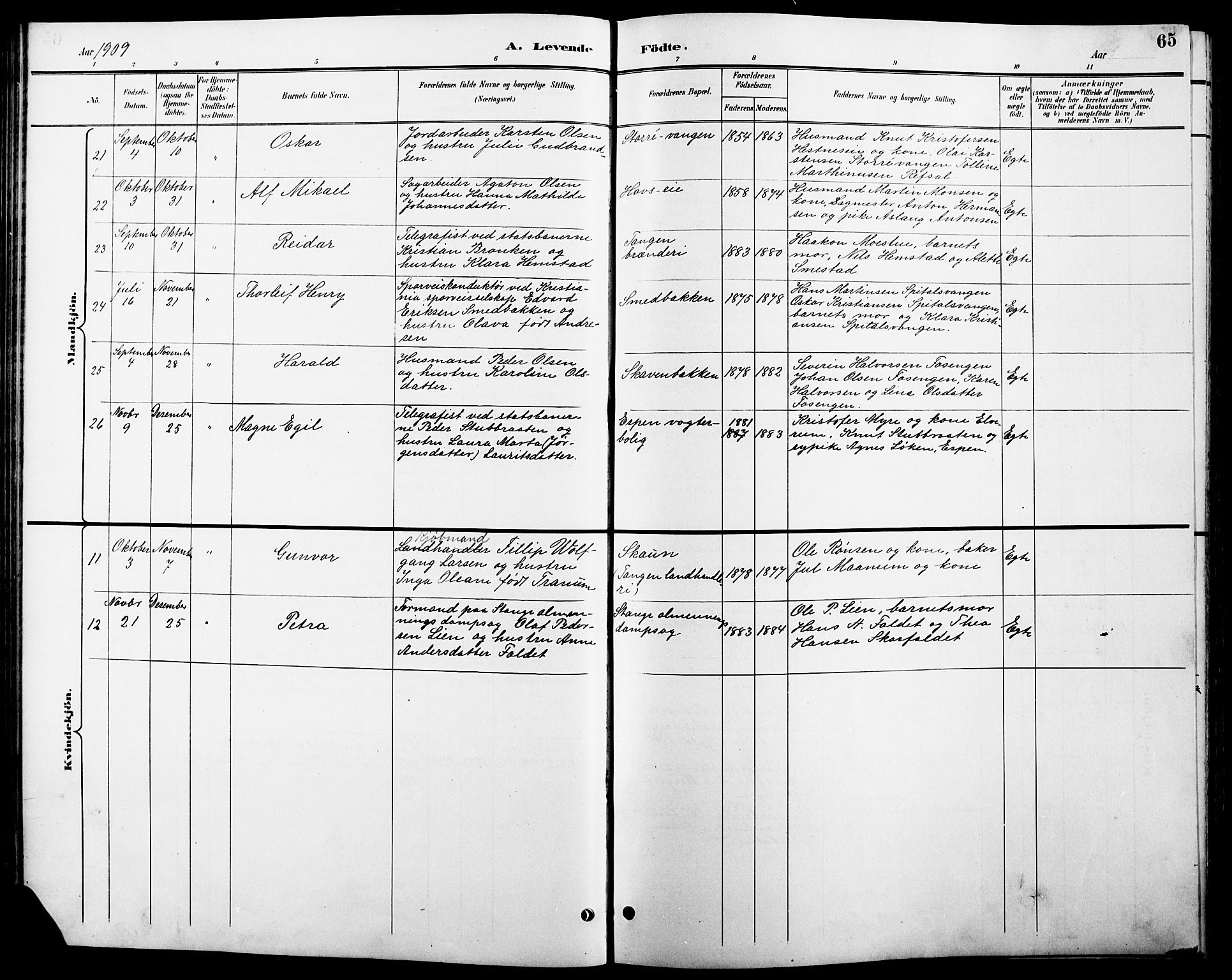 Stange prestekontor, SAH/PREST-002/L/L0011: Parish register (copy) no. 11, 1895-1917, p. 65