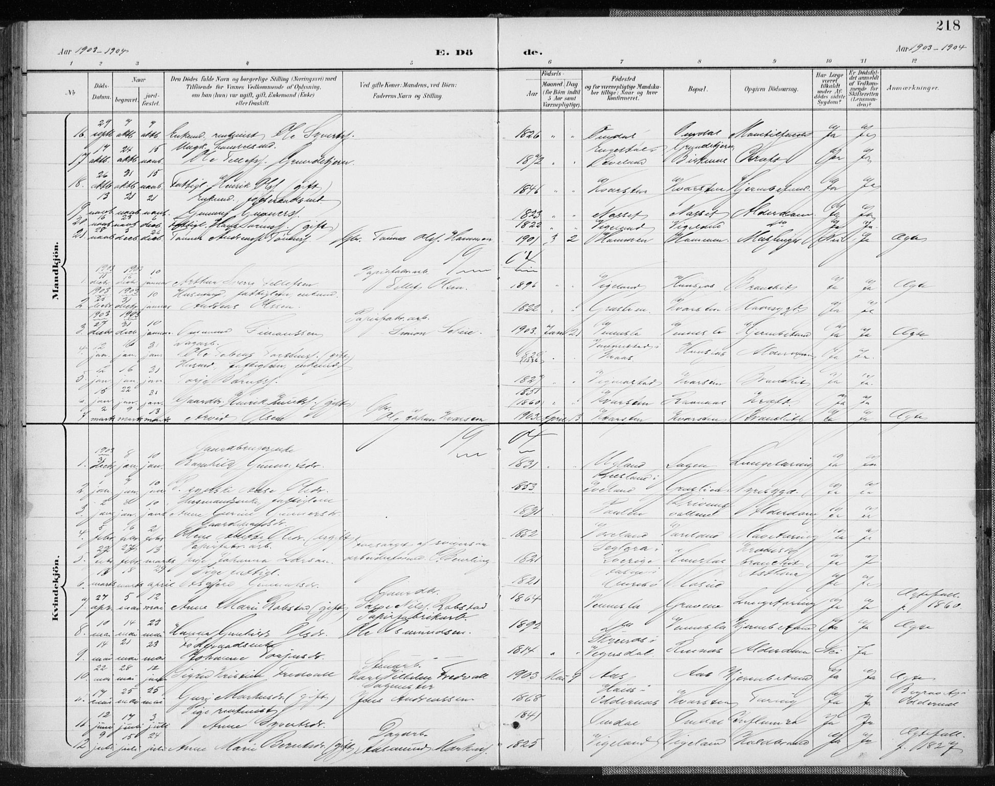 Vennesla sokneprestkontor, SAK/1111-0045/Fa/Fab/L0005: Parish register (official) no. A 5, 1897-1909, p. 218