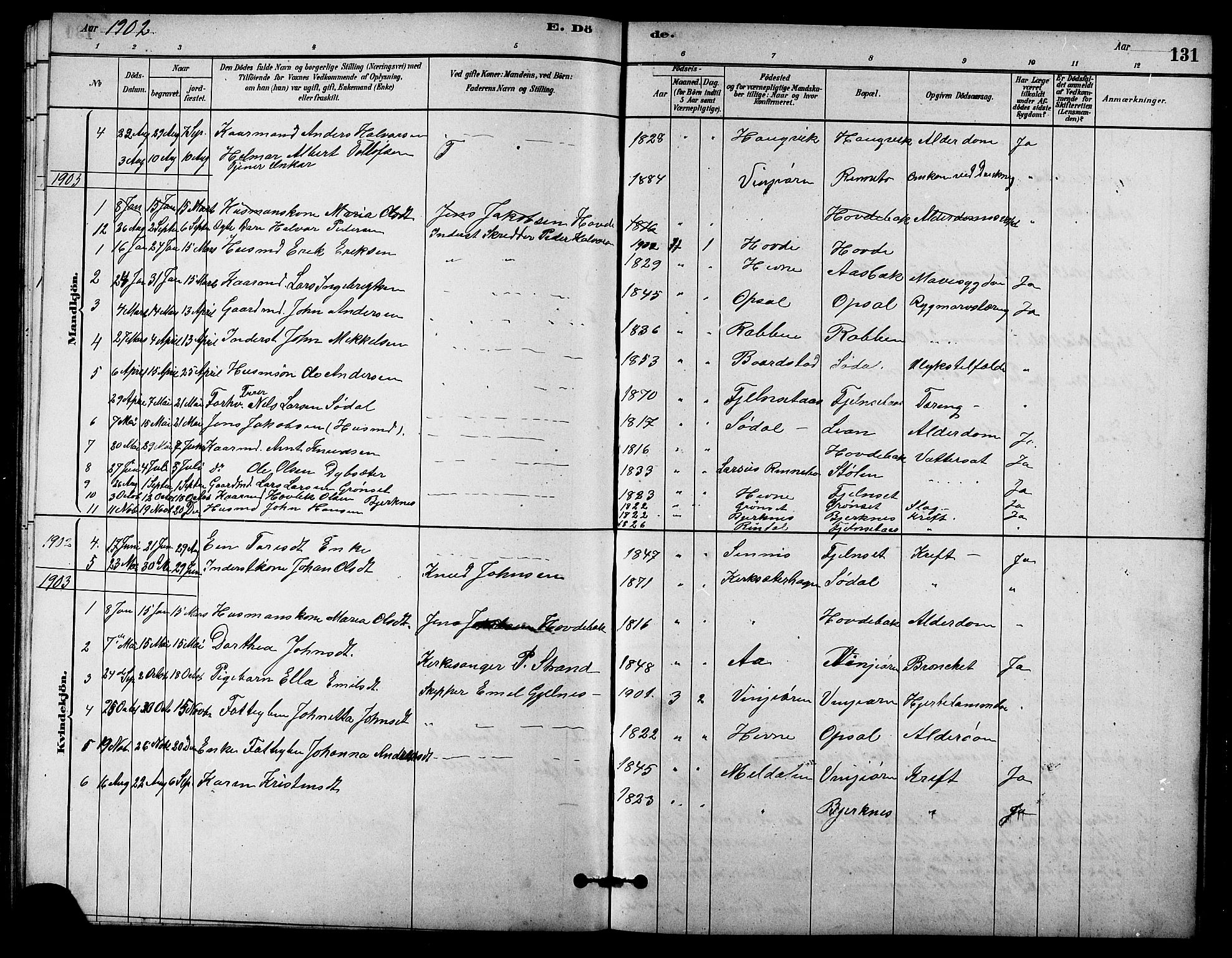 Ministerialprotokoller, klokkerbøker og fødselsregistre - Sør-Trøndelag, SAT/A-1456/631/L0514: Parish register (copy) no. 631C02, 1879-1912, p. 131