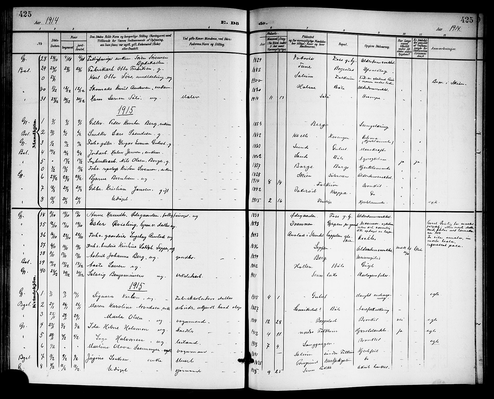 Gjerpen kirkebøker, SAKO/A-265/G/Ga/L0003: Parish register (copy) no. I 3, 1901-1919, p. 425