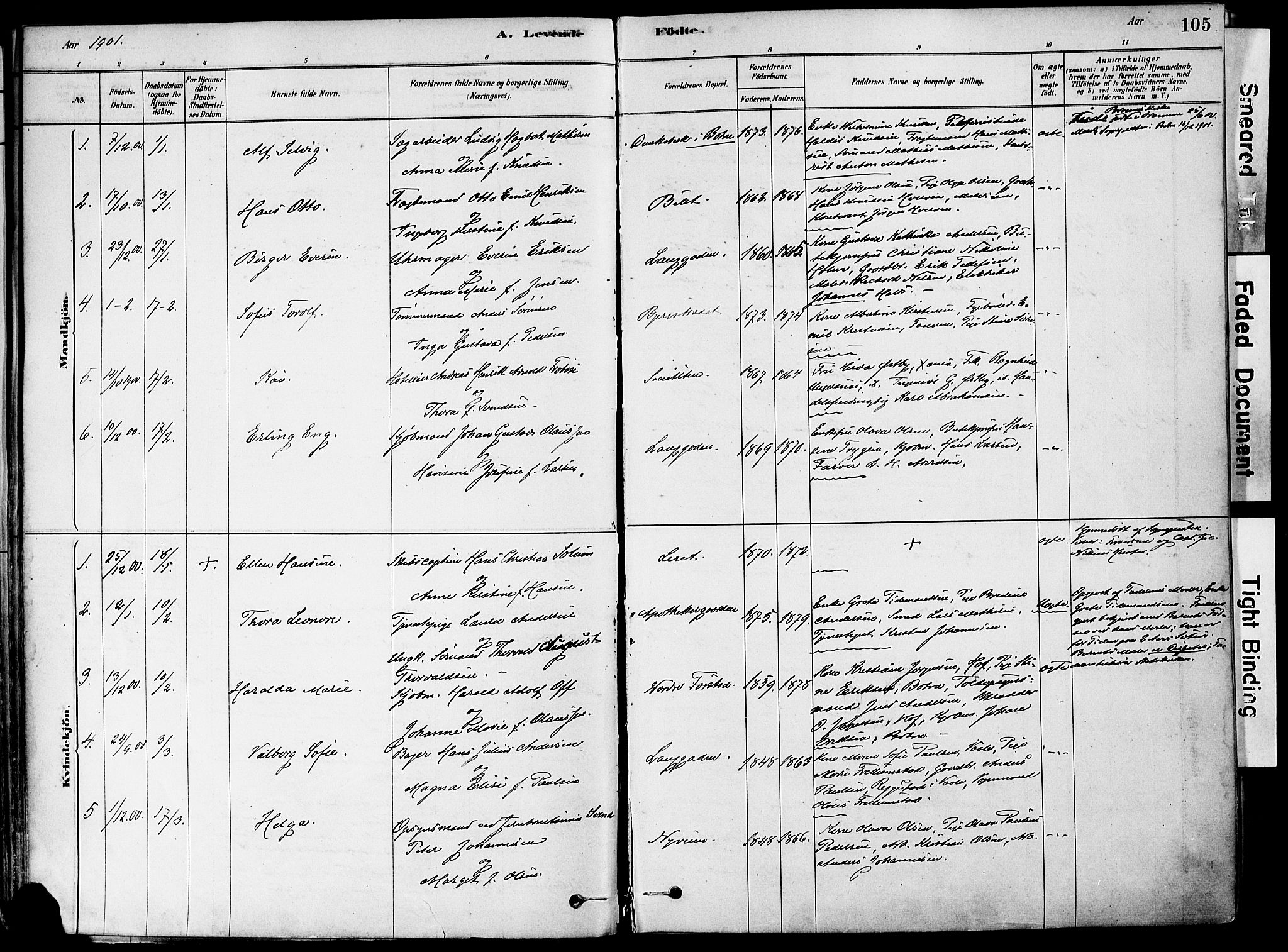 Holmestrand kirkebøker, SAKO/A-346/F/Fa/L0004: Parish register (official) no. 4, 1880-1901, p. 105